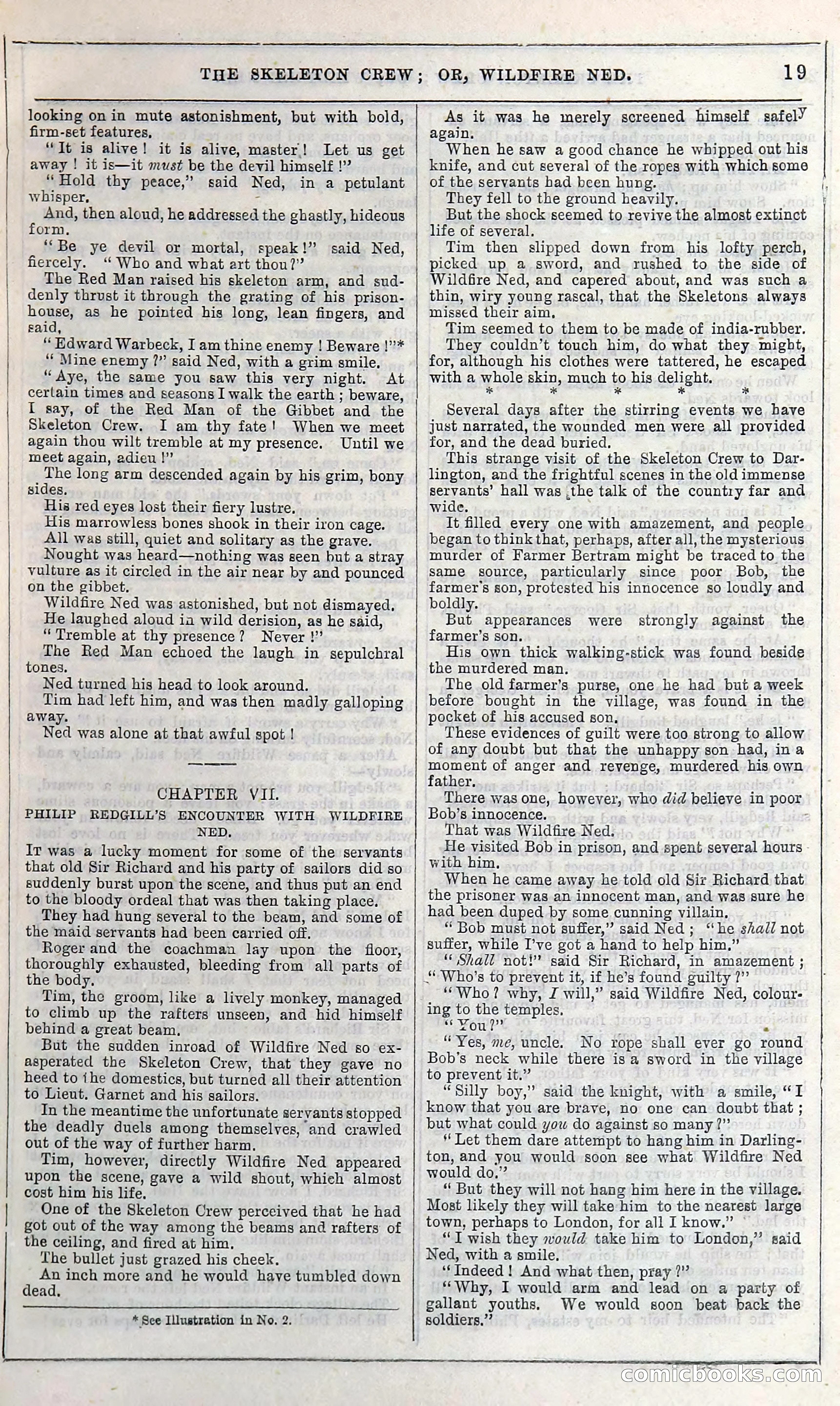 The Skeleton Crew; Or, Wildfire Ned — page 25 of 196