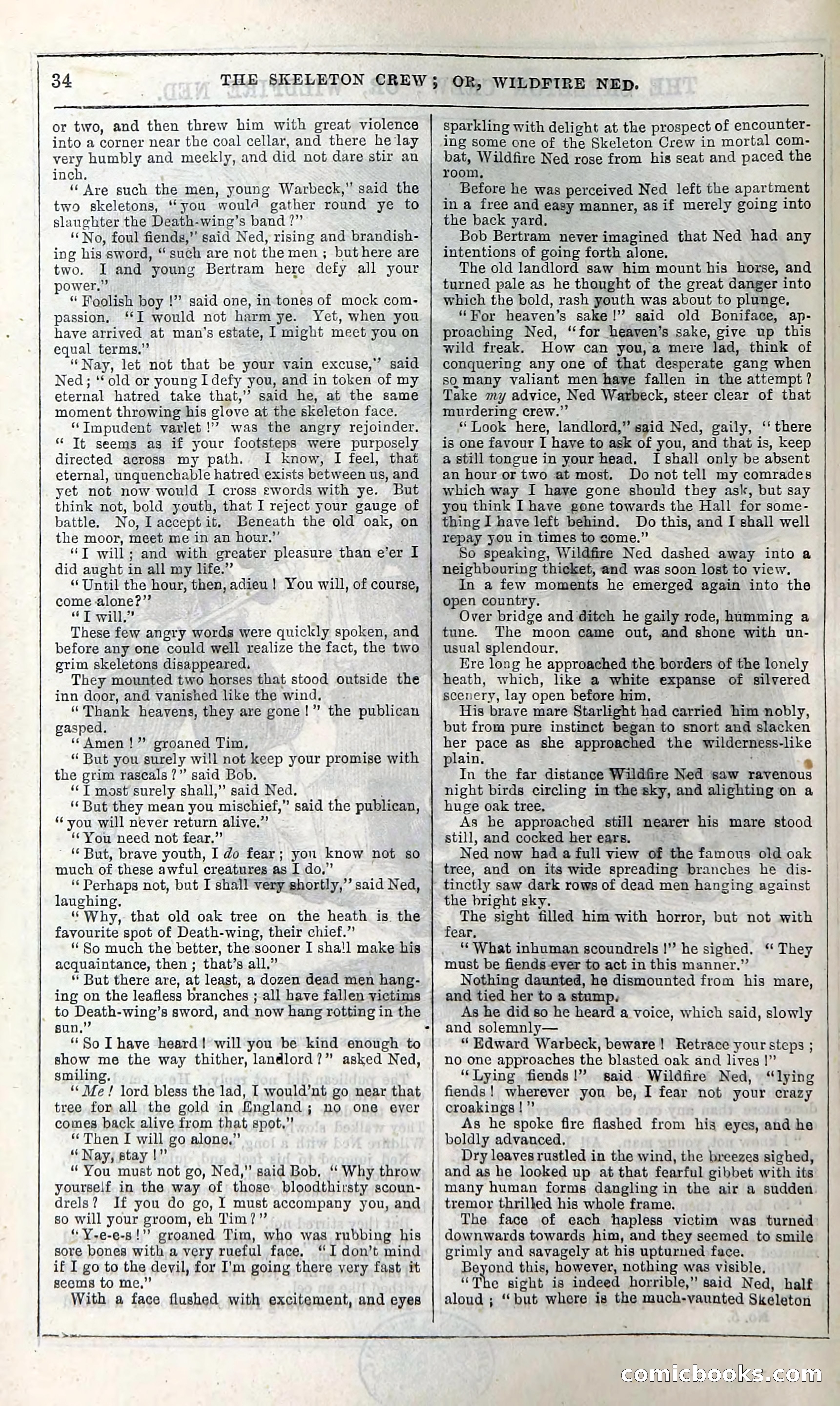 The Skeleton Crew; Or, Wildfire Ned — page 40 of 196