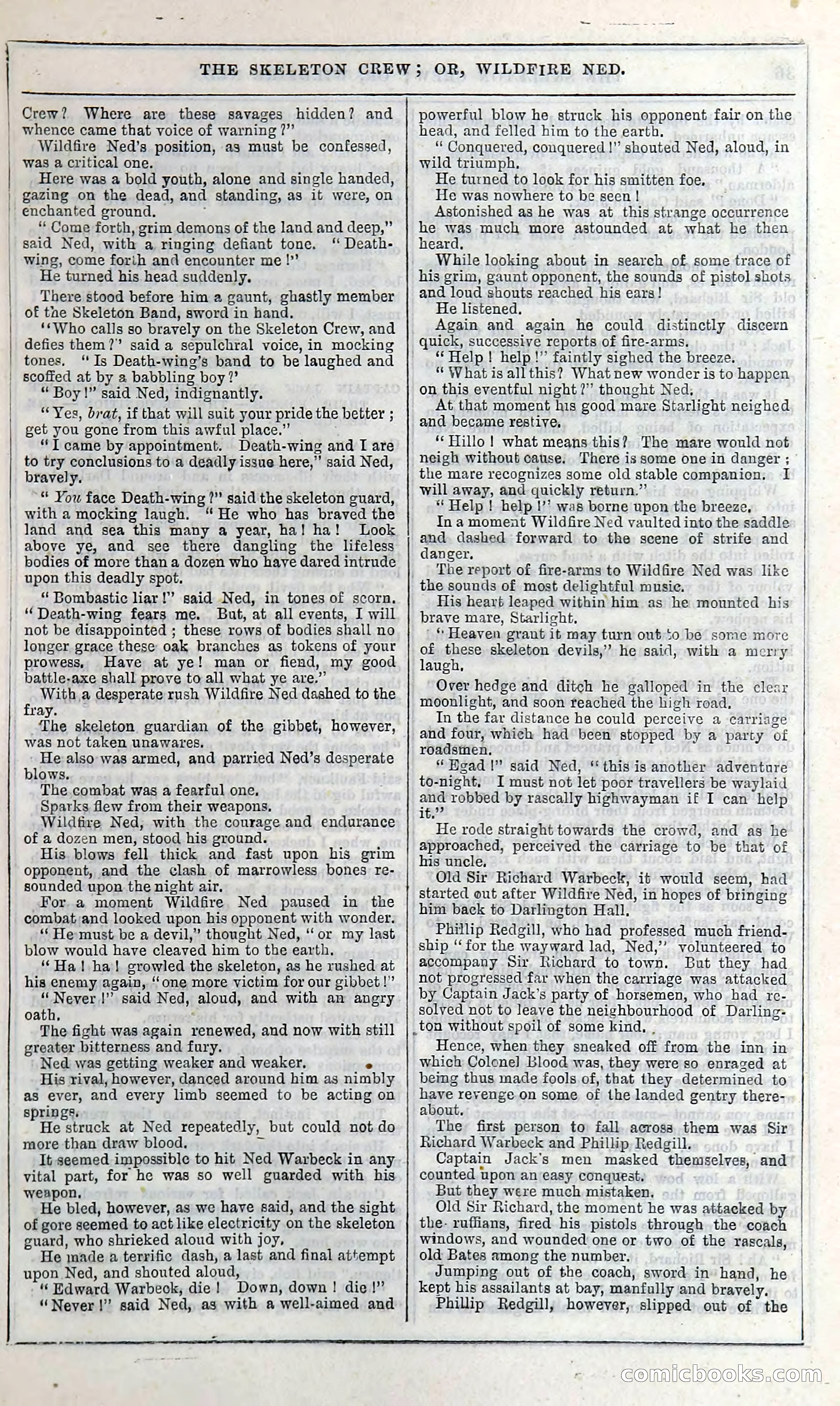 The Skeleton Crew; Or, Wildfire Ned — page 41 of 196