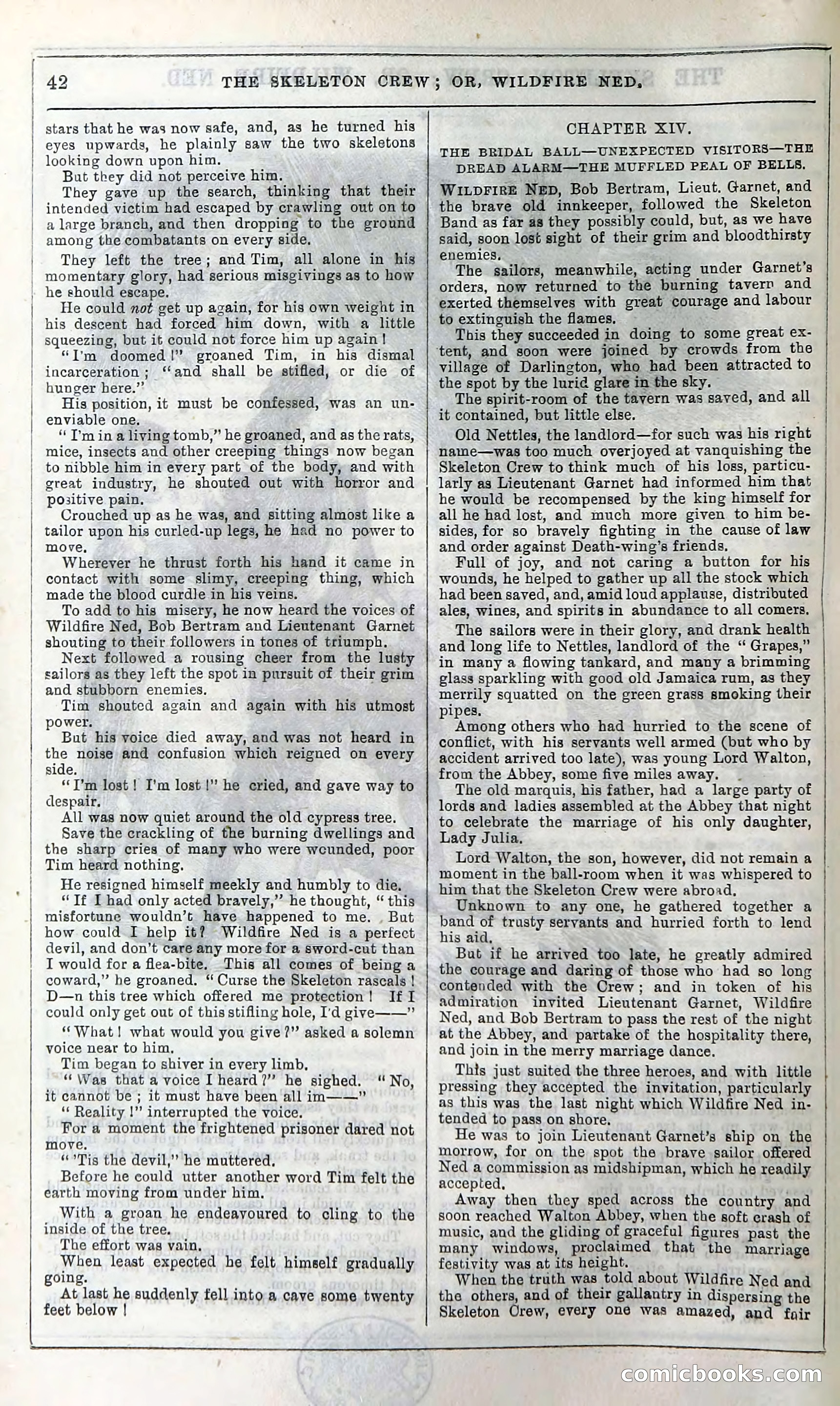 The Skeleton Crew; Or, Wildfire Ned — page 48 of 196
