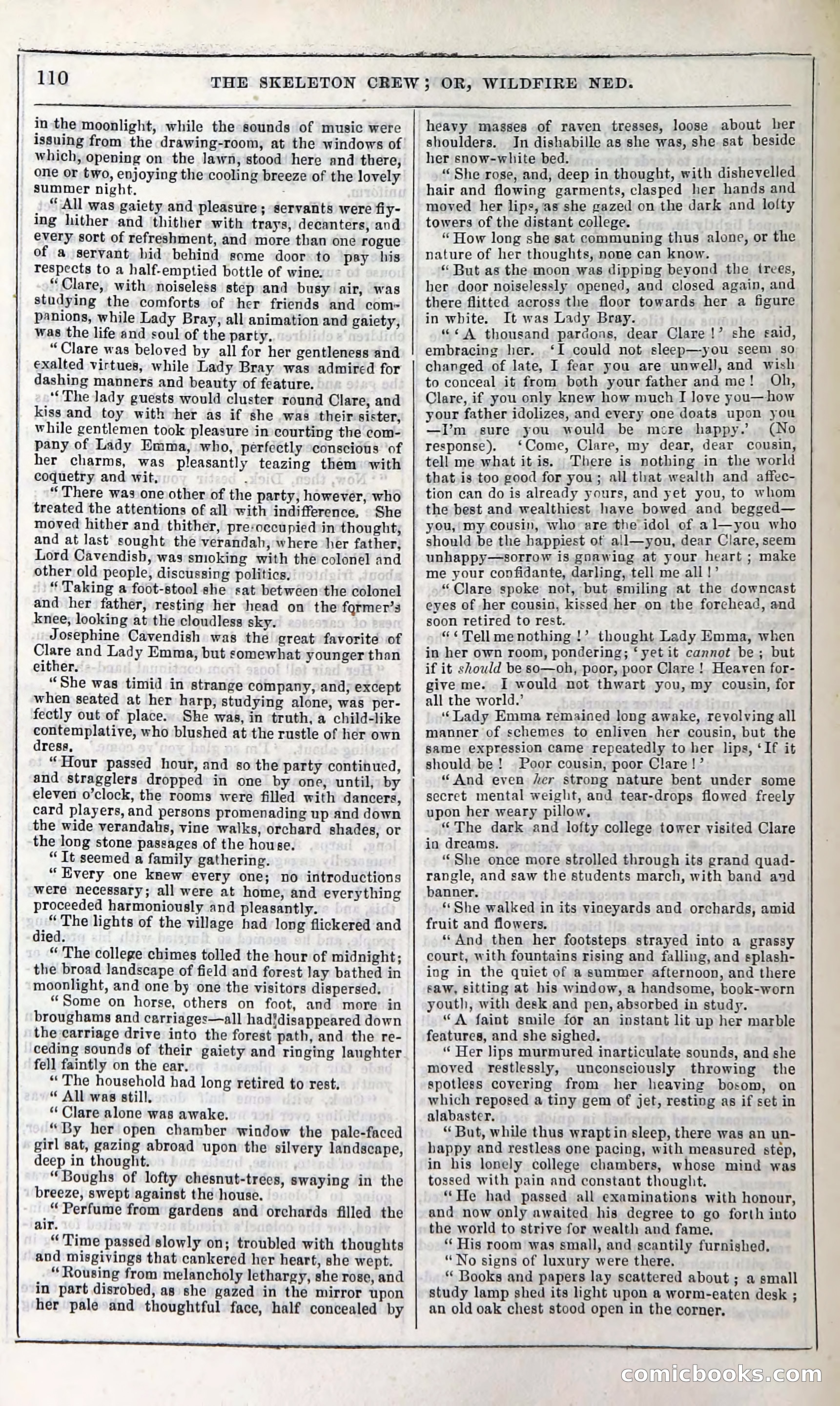 The Skeleton Crew; Or, Wildfire Ned — page 116 of 196