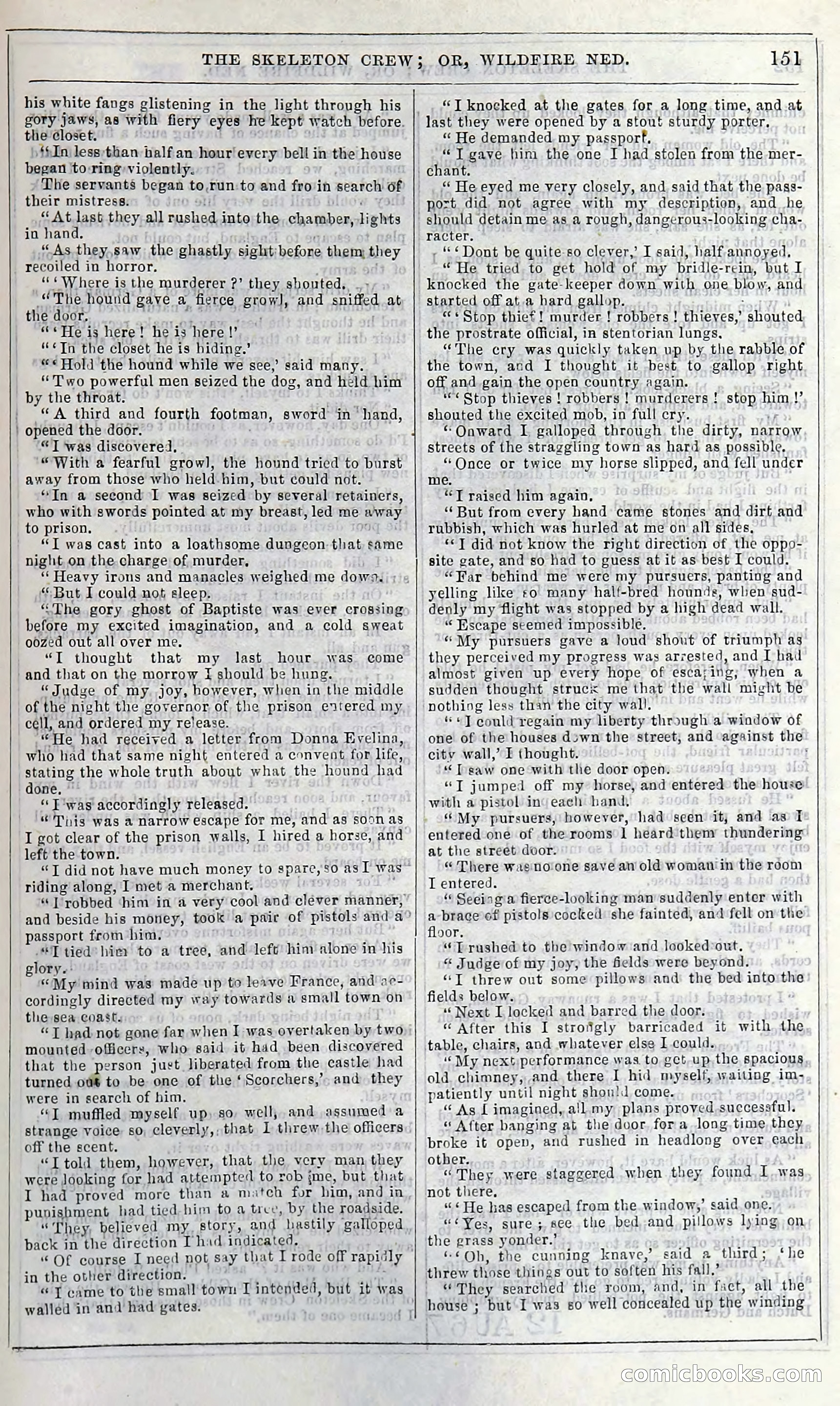 The Skeleton Crew; Or, Wildfire Ned — page 157 of 196