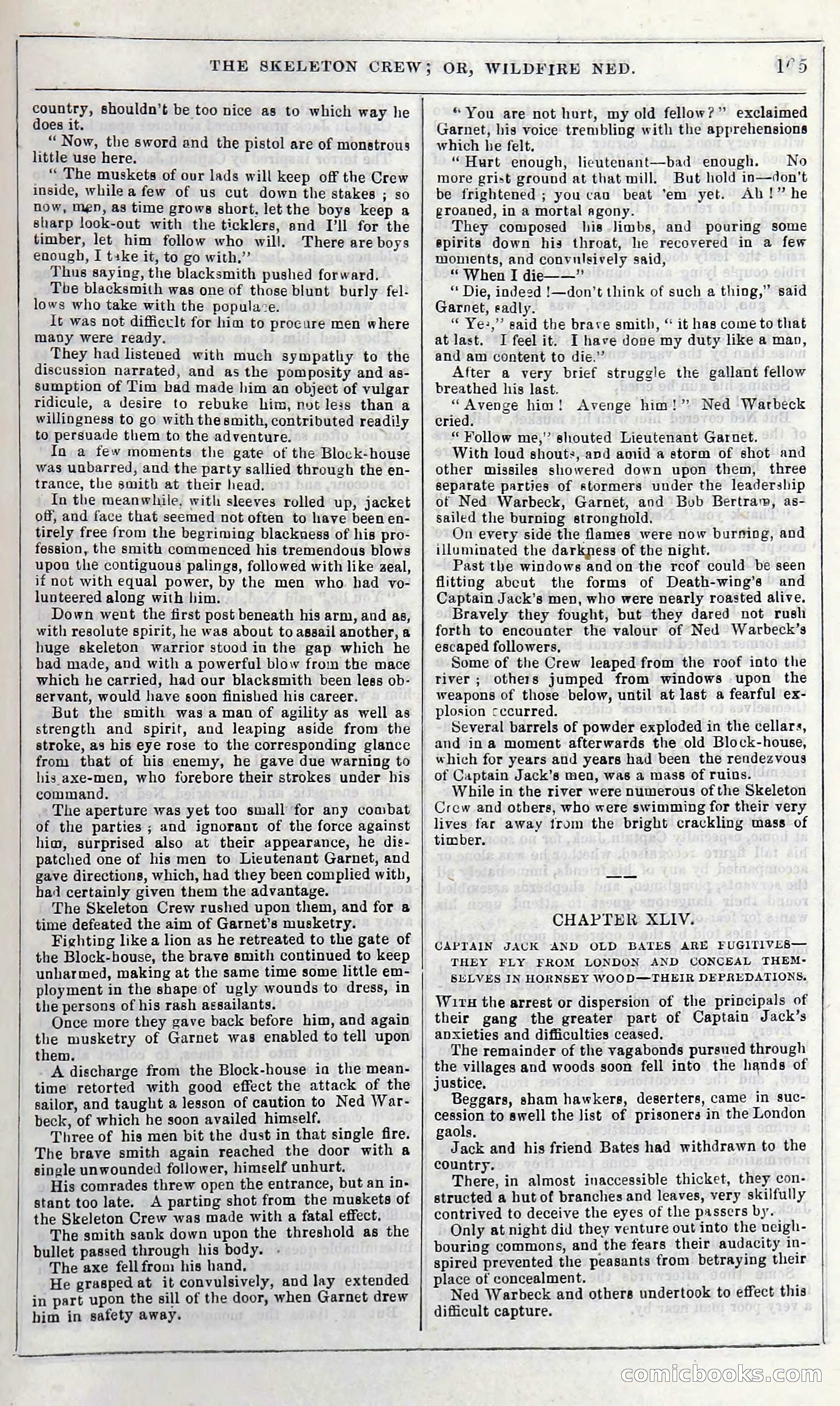 The Skeleton Crew; Or, Wildfire Ned — page 171 of 196