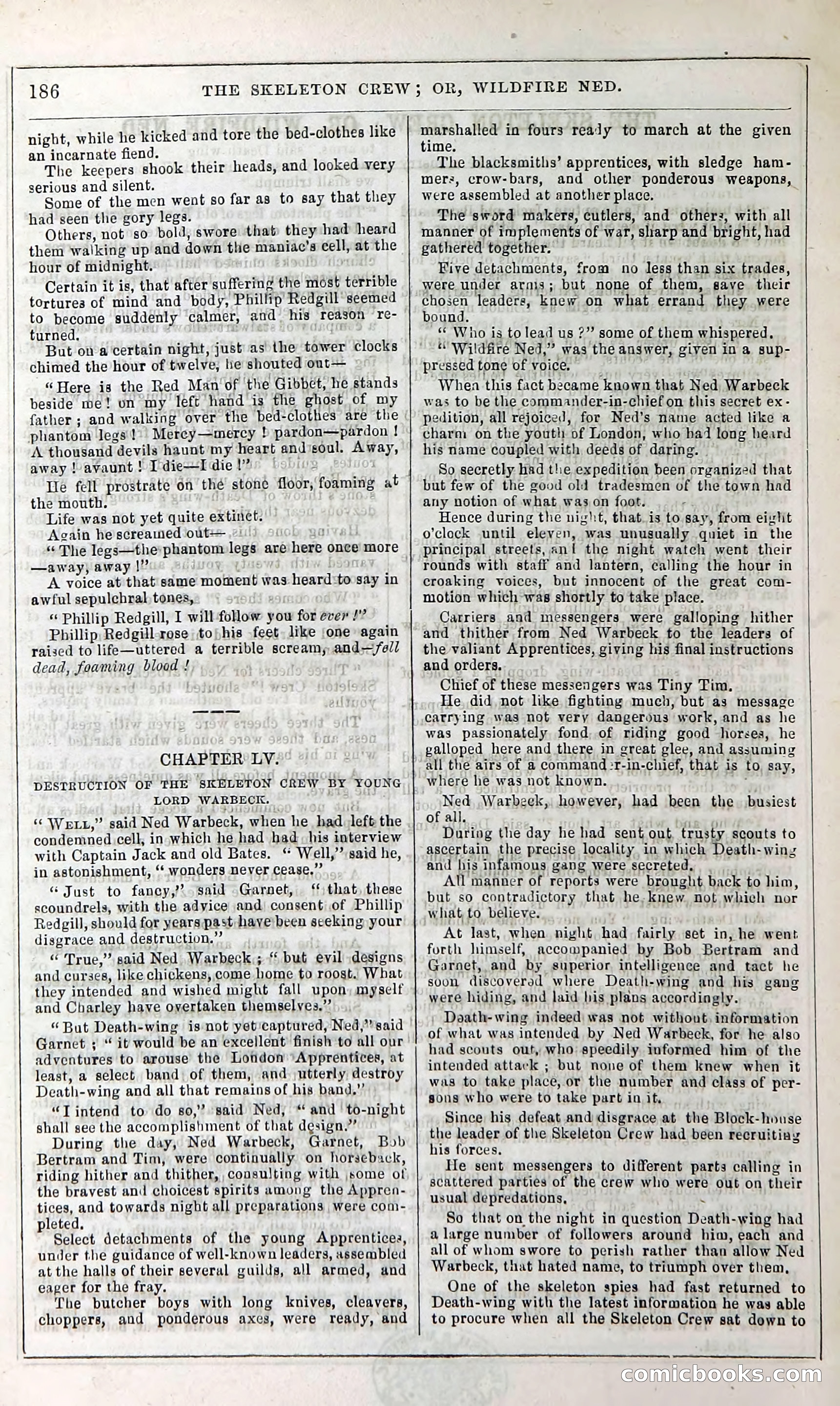 The Skeleton Crew; Or, Wildfire Ned — page 192 of 196