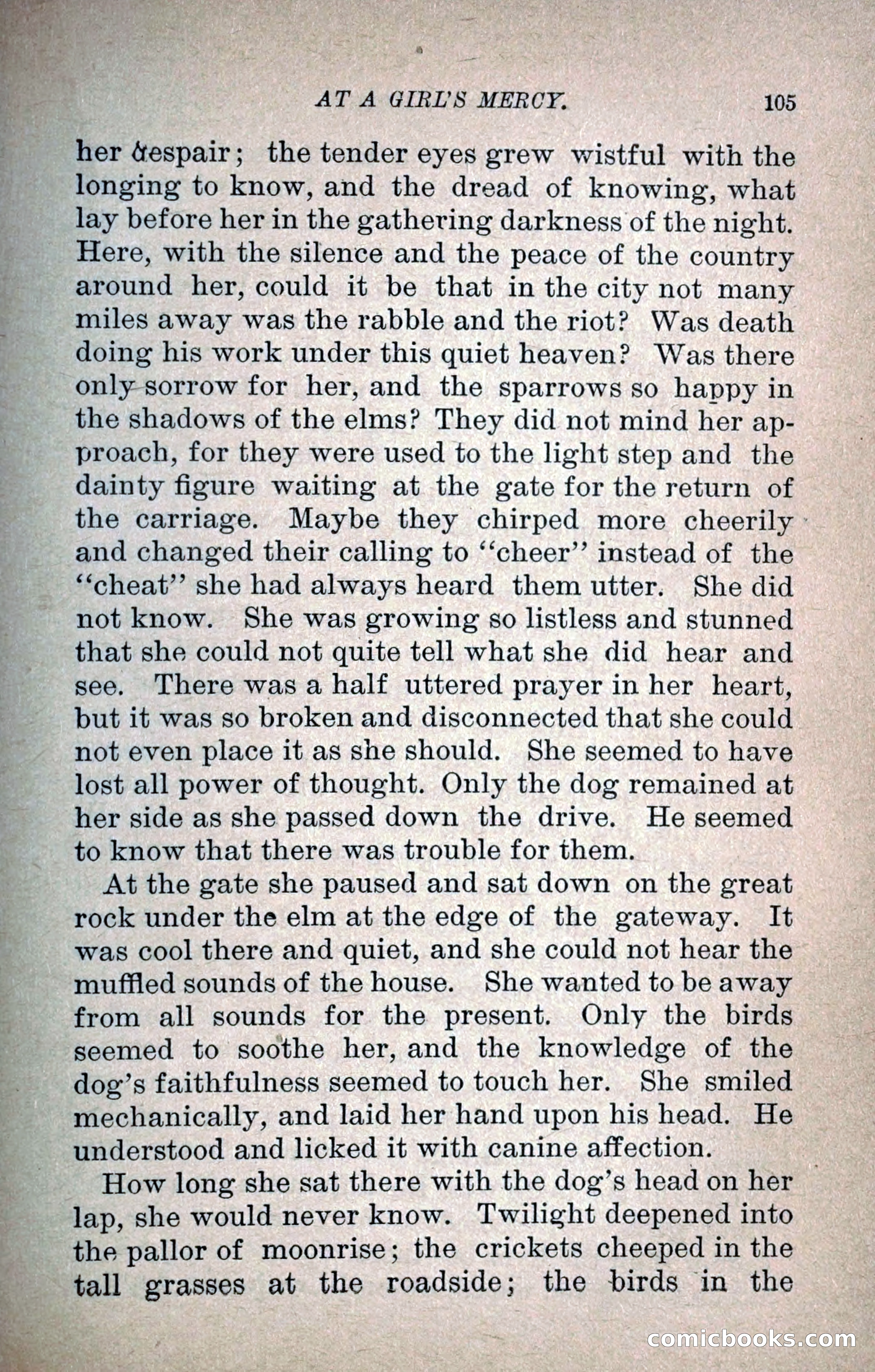 At a Girl's Mercy, or, The Fortunes of War — page 116 of 253