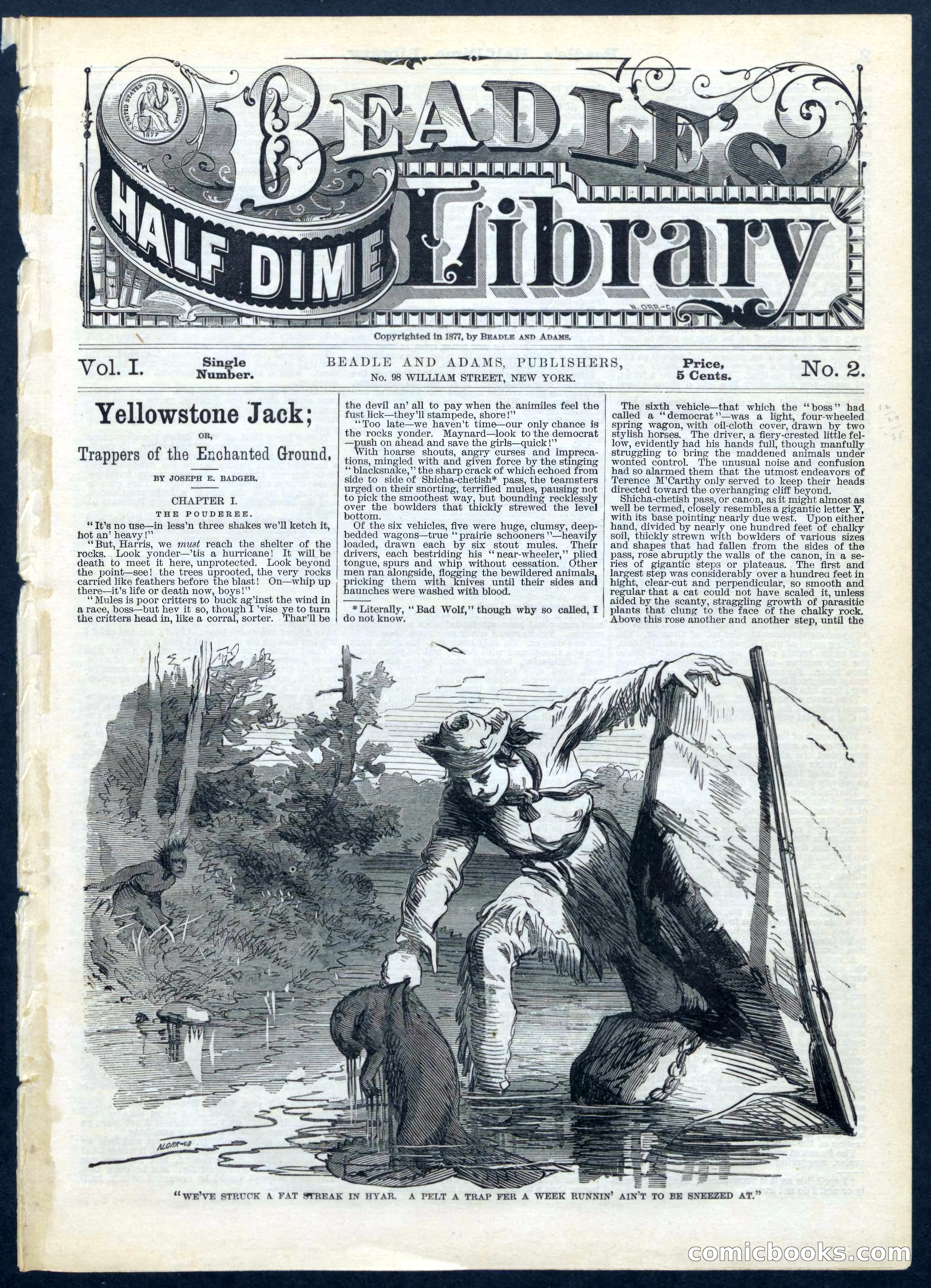 Beadle's Half Dime Library