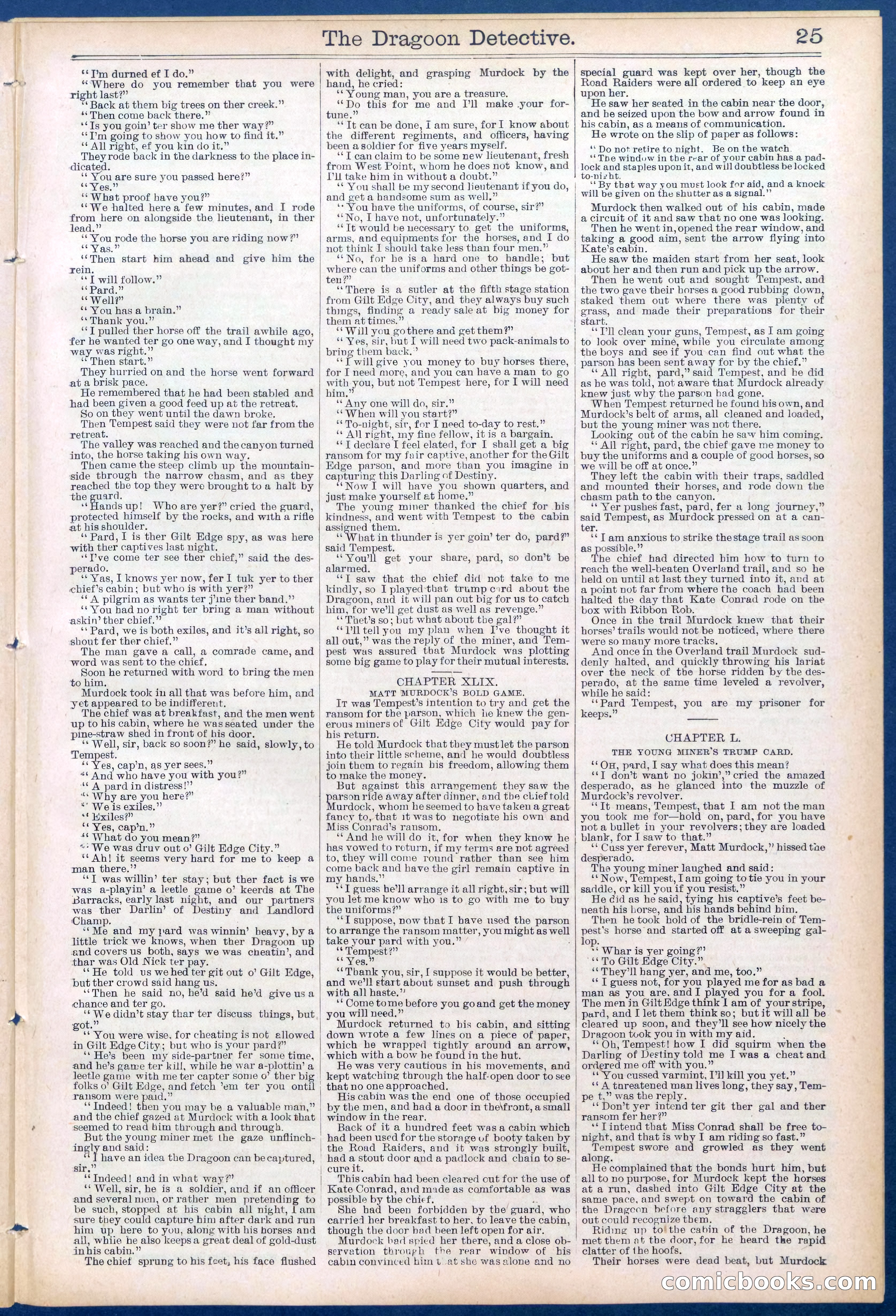 The Dragoon Detective; Or, A Man of Destiny — page 25 of 32