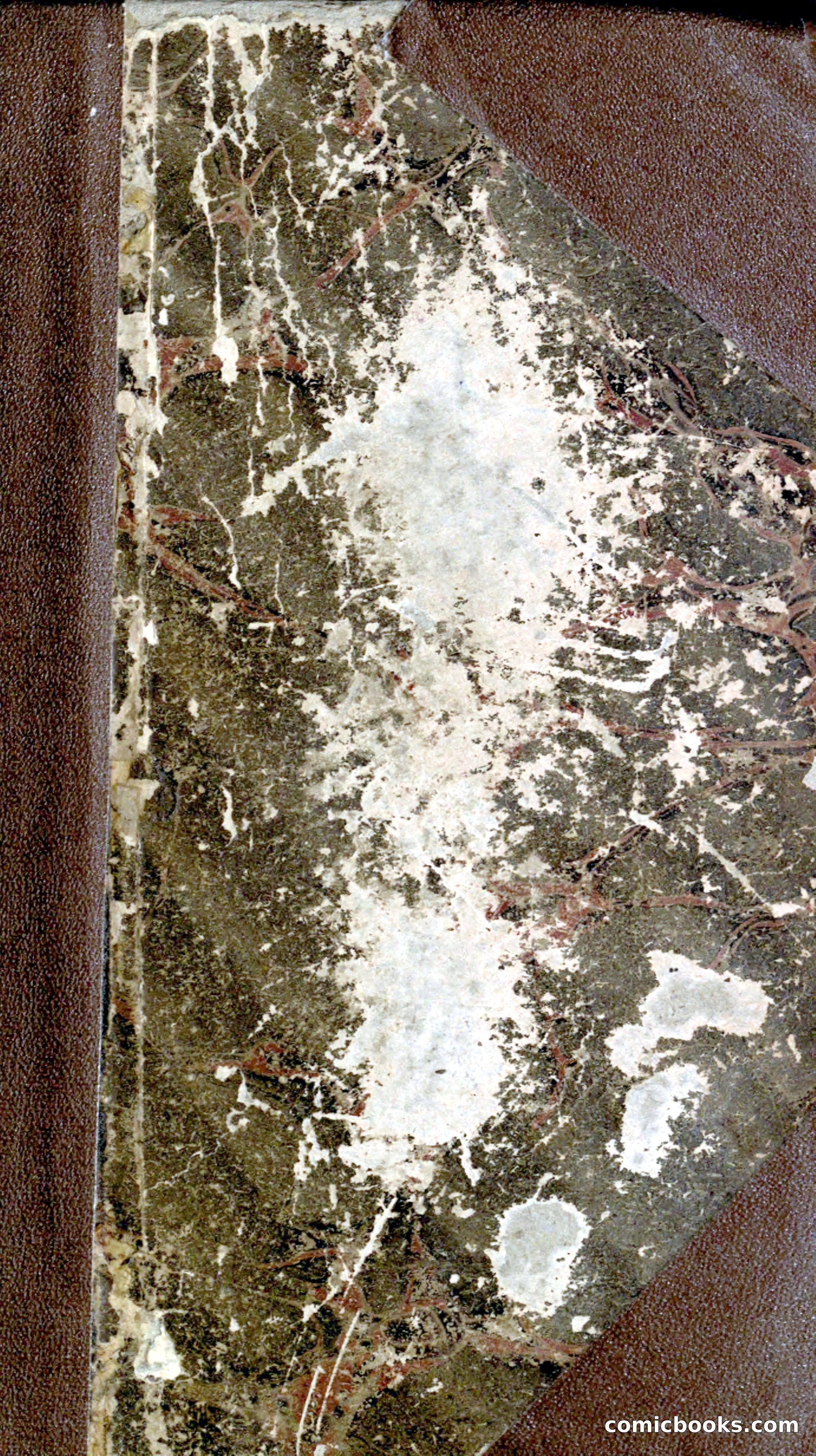 Beadle's Dime Library — page 1 of 21