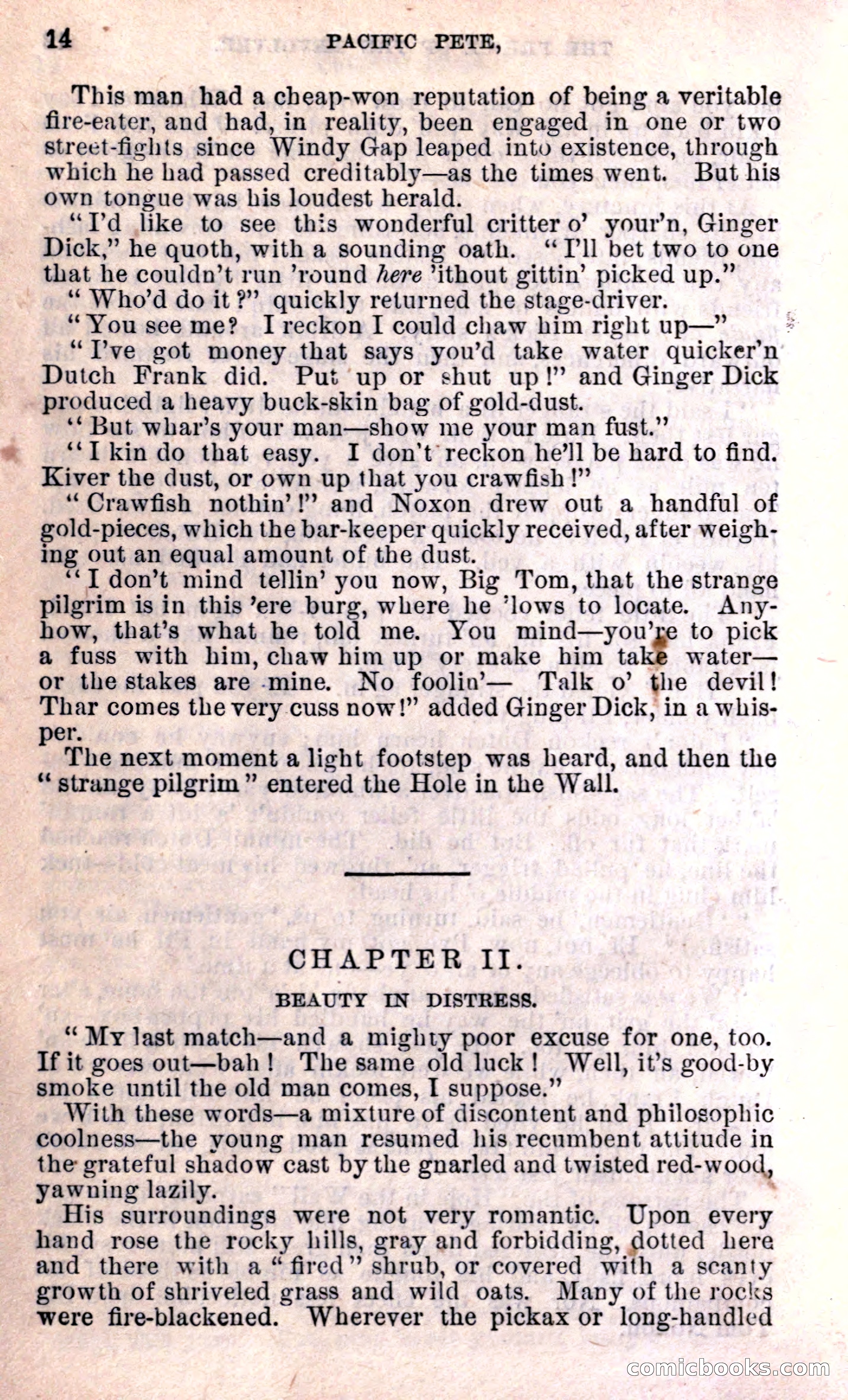 Beadle's Dime Library — page 14 of 21