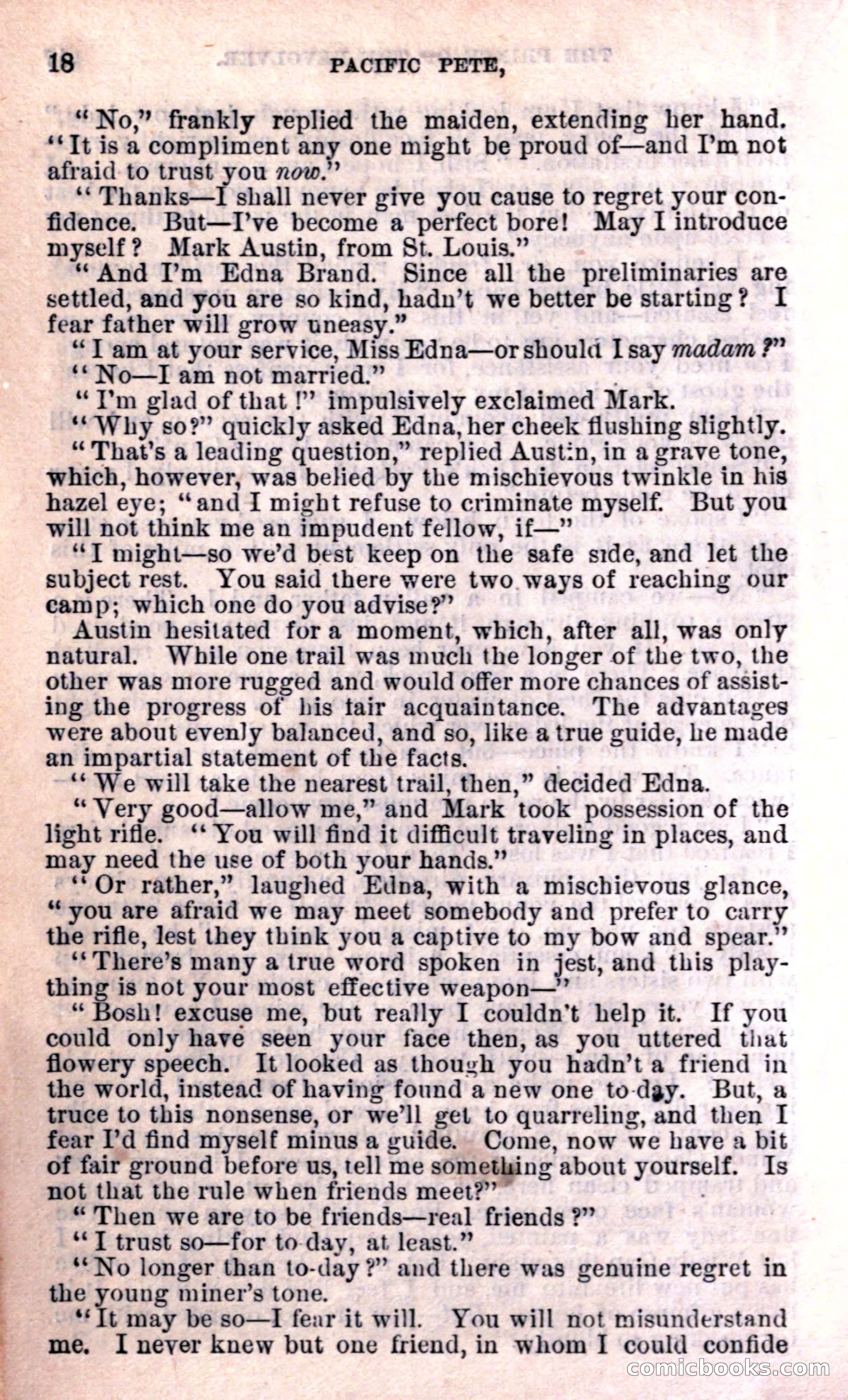 Beadle's Dime Library — page 18 of 21