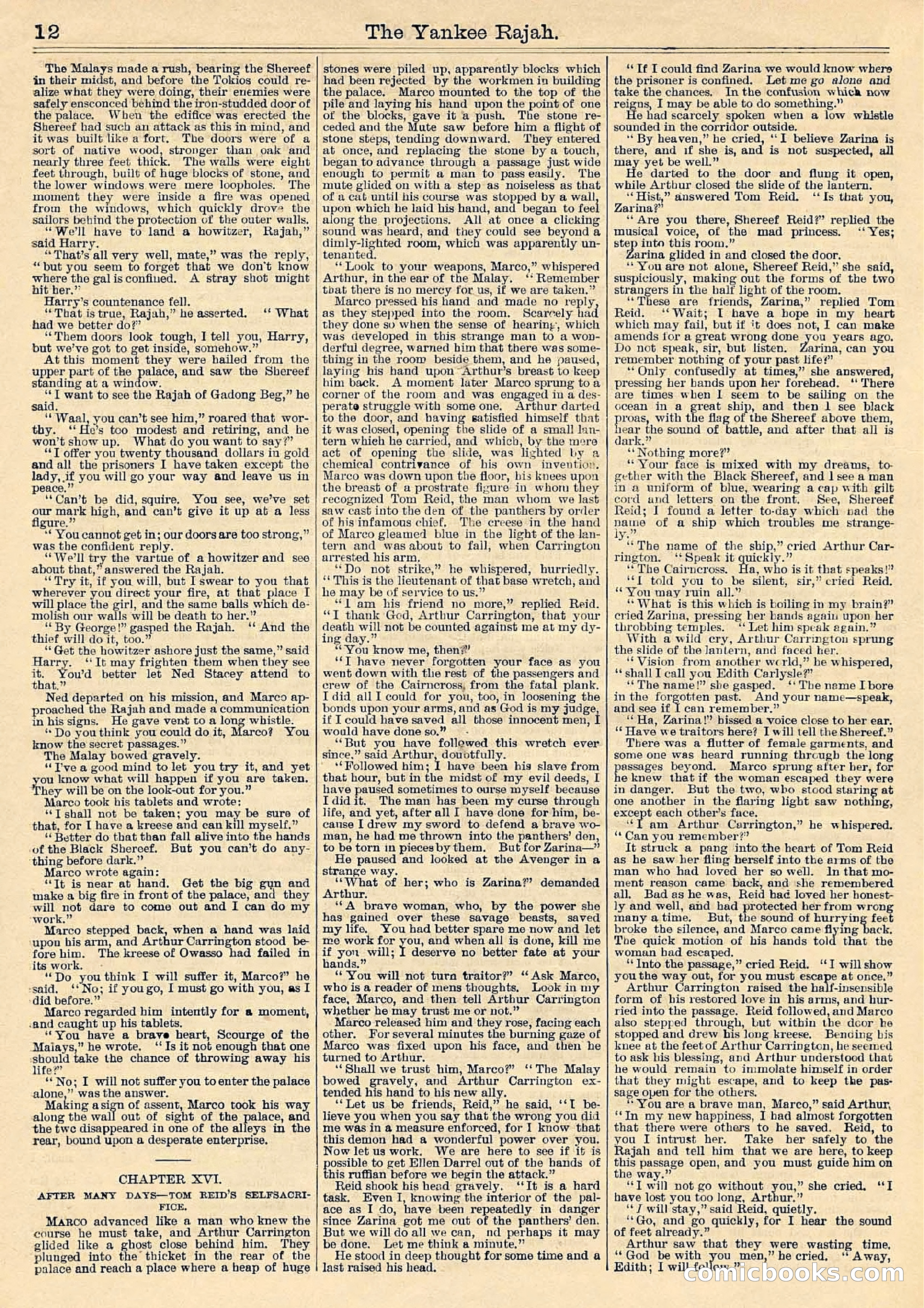 Beadle's Half Dime Library Vol. IX, No. 230: The Yankee Rajah; or, The Fate of the Black Shereef — page 12 of 16