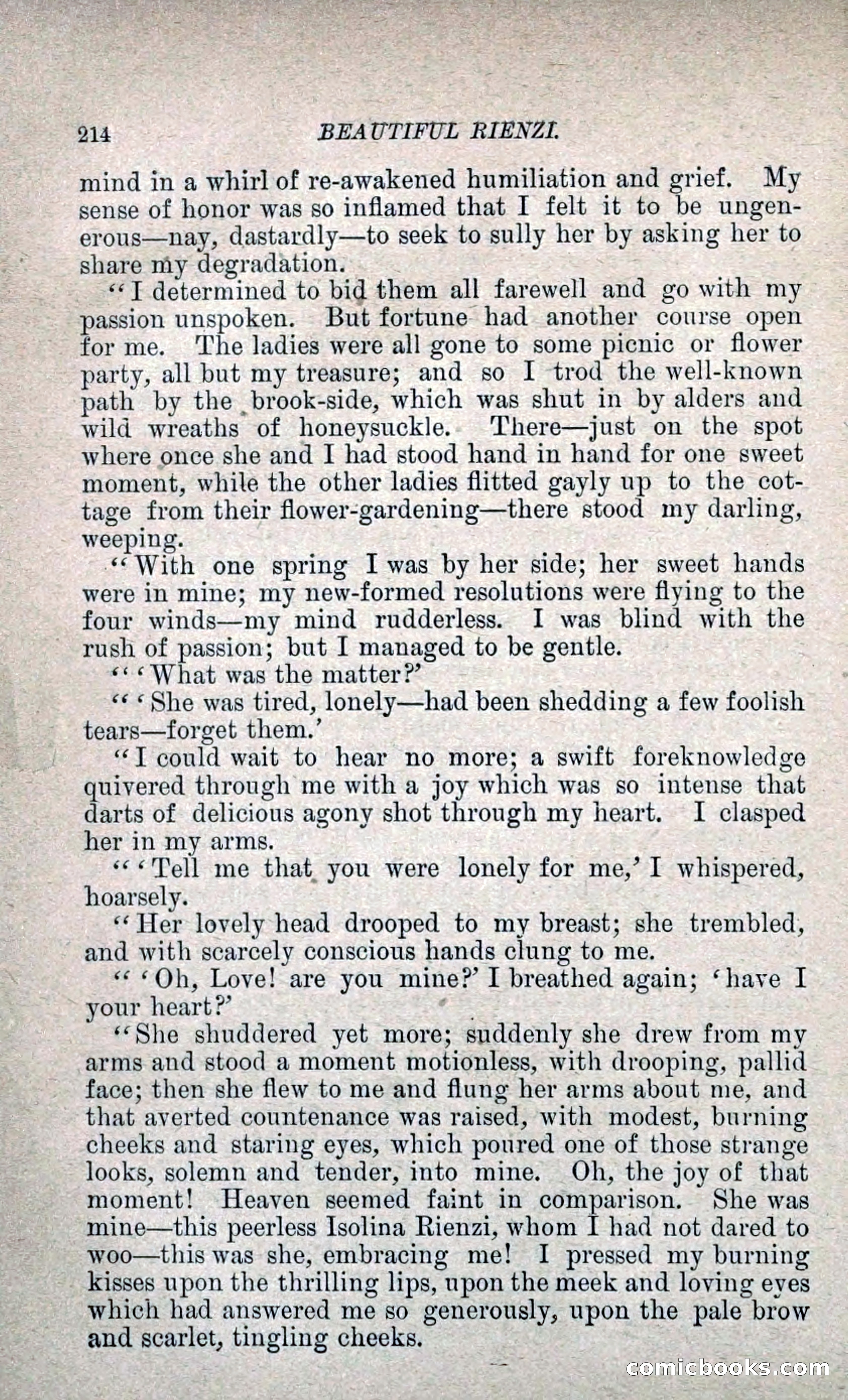 Beautiful Rienzi; or, The Secret Vendetta — page 221 of 299
