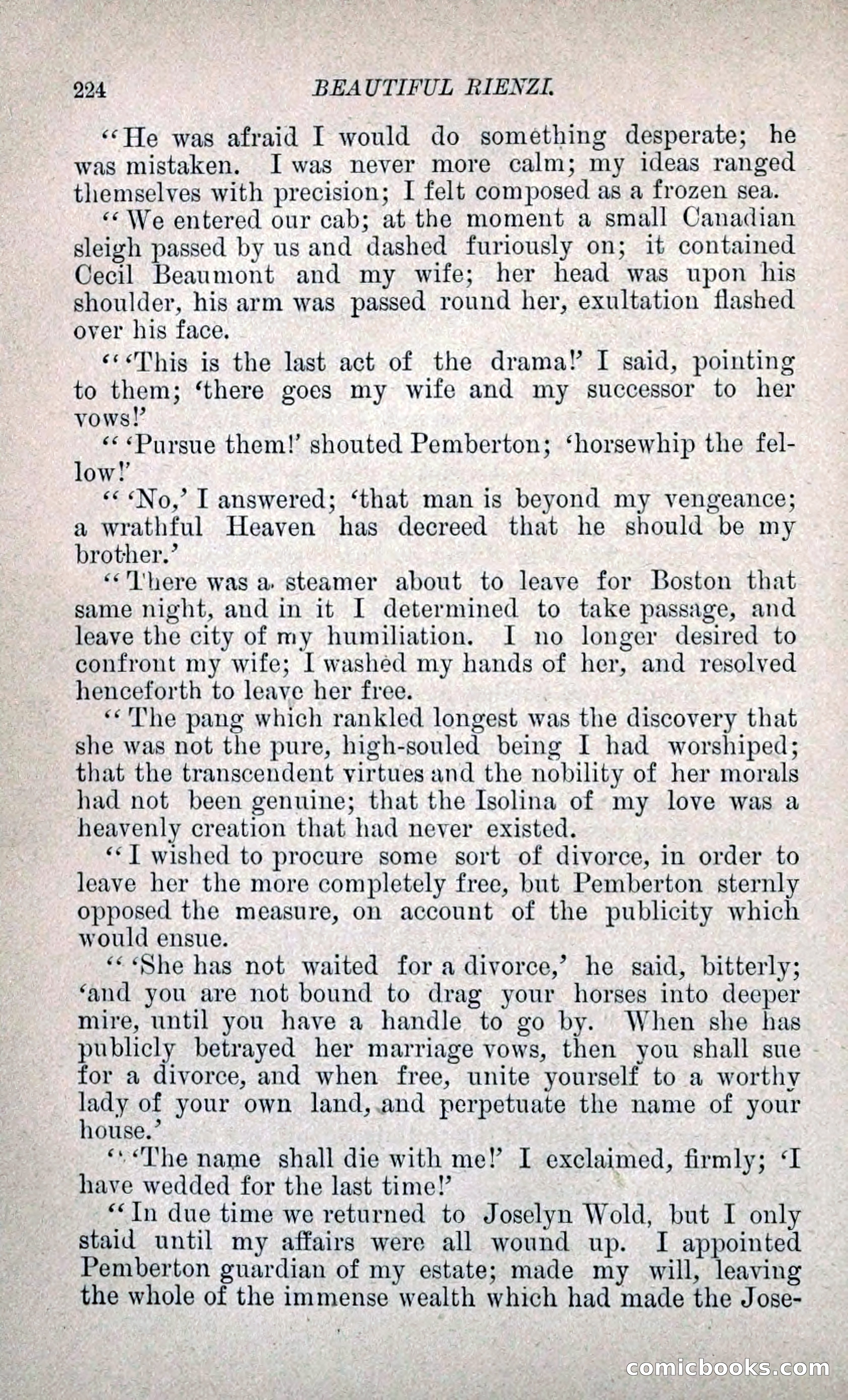 Beautiful Rienzi; or, The Secret Vendetta — page 231 of 299