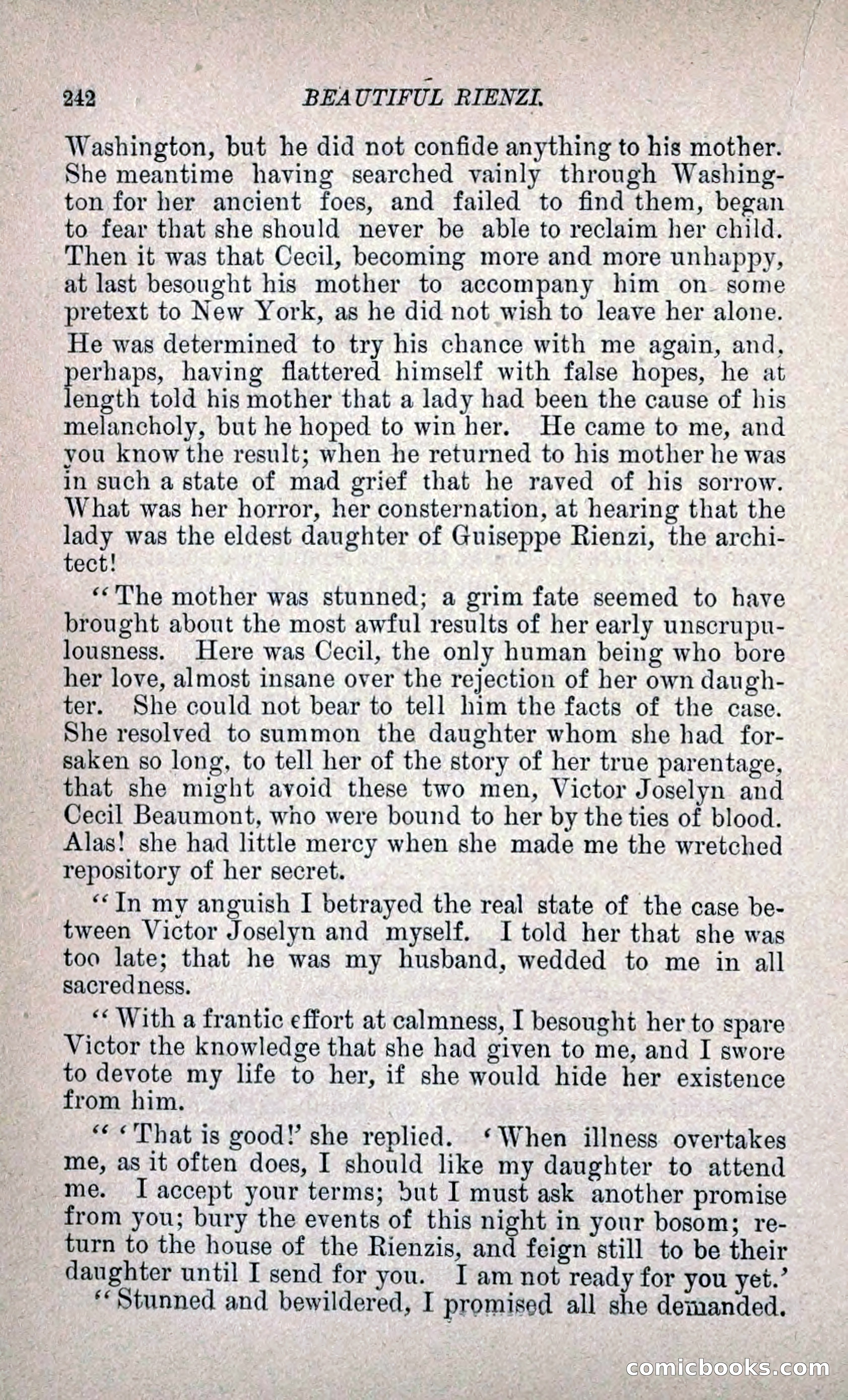 Beautiful Rienzi; or, The Secret Vendetta — page 249 of 299