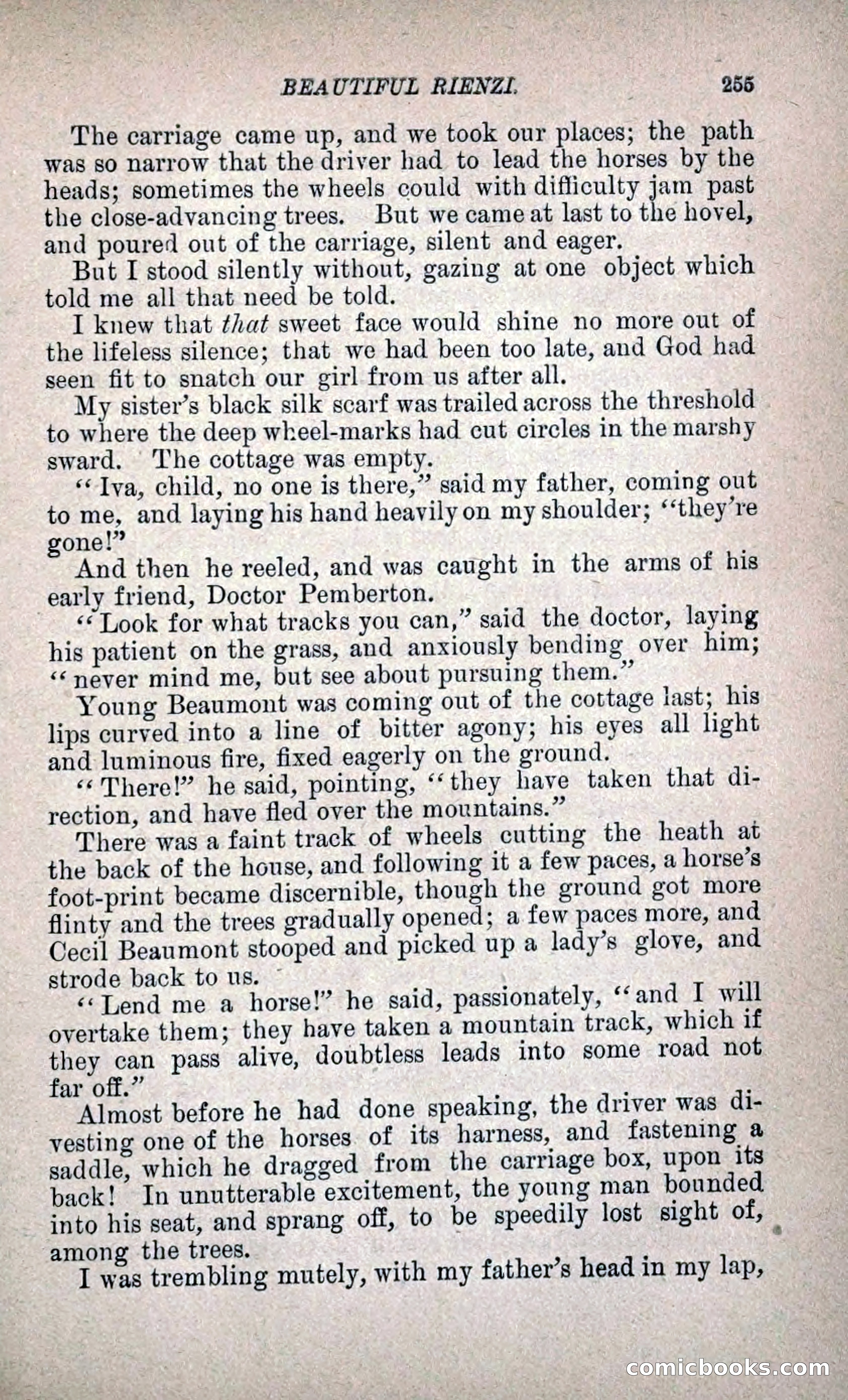 Beautiful Rienzi; or, The Secret Vendetta — page 262 of 299