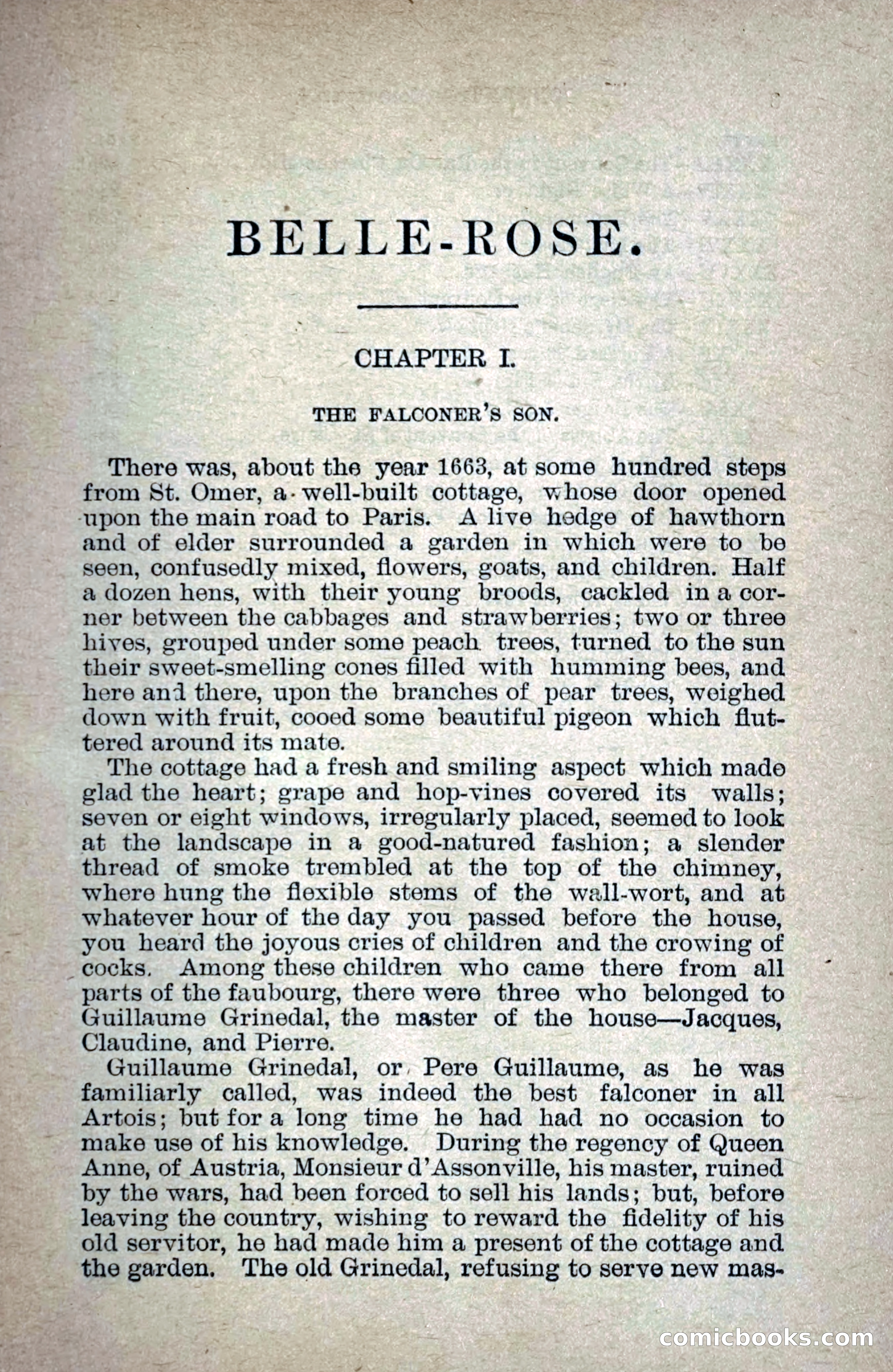 Belle-Rose — page 18 of 391