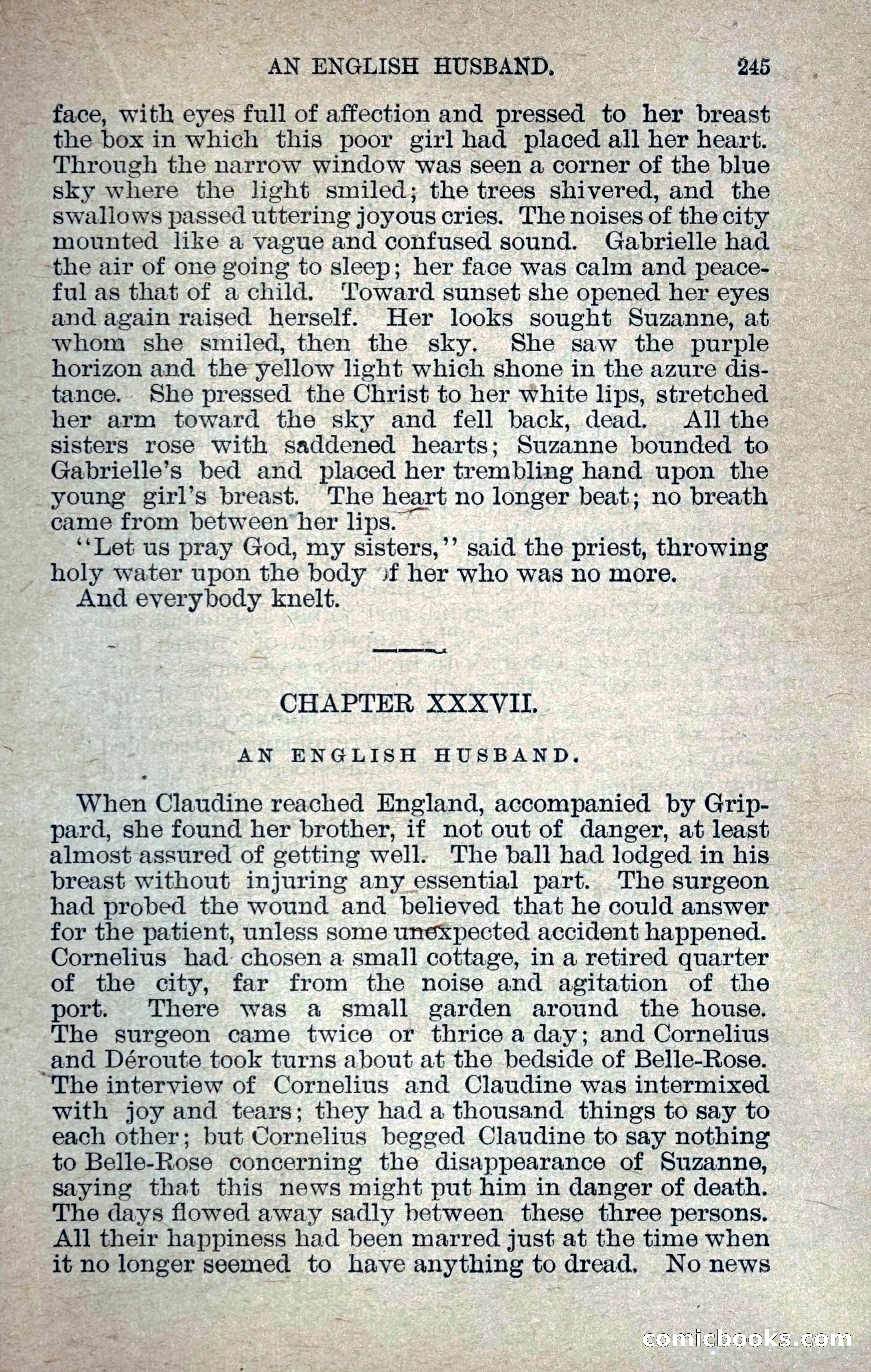 Belle-Rose — page 256 of 391