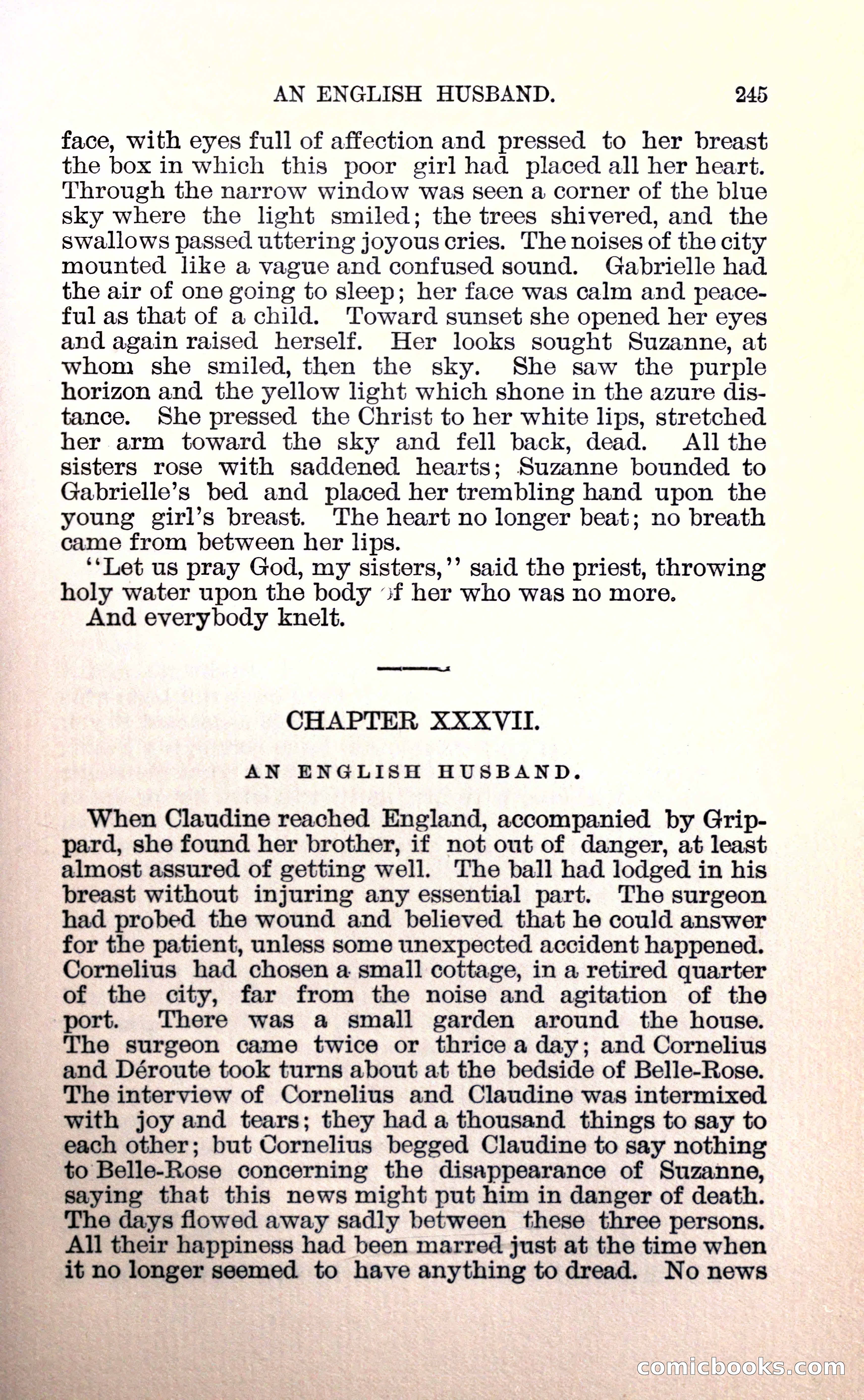 Belle Rose: A Romance of the Cloak and Sword — page 261 of 394