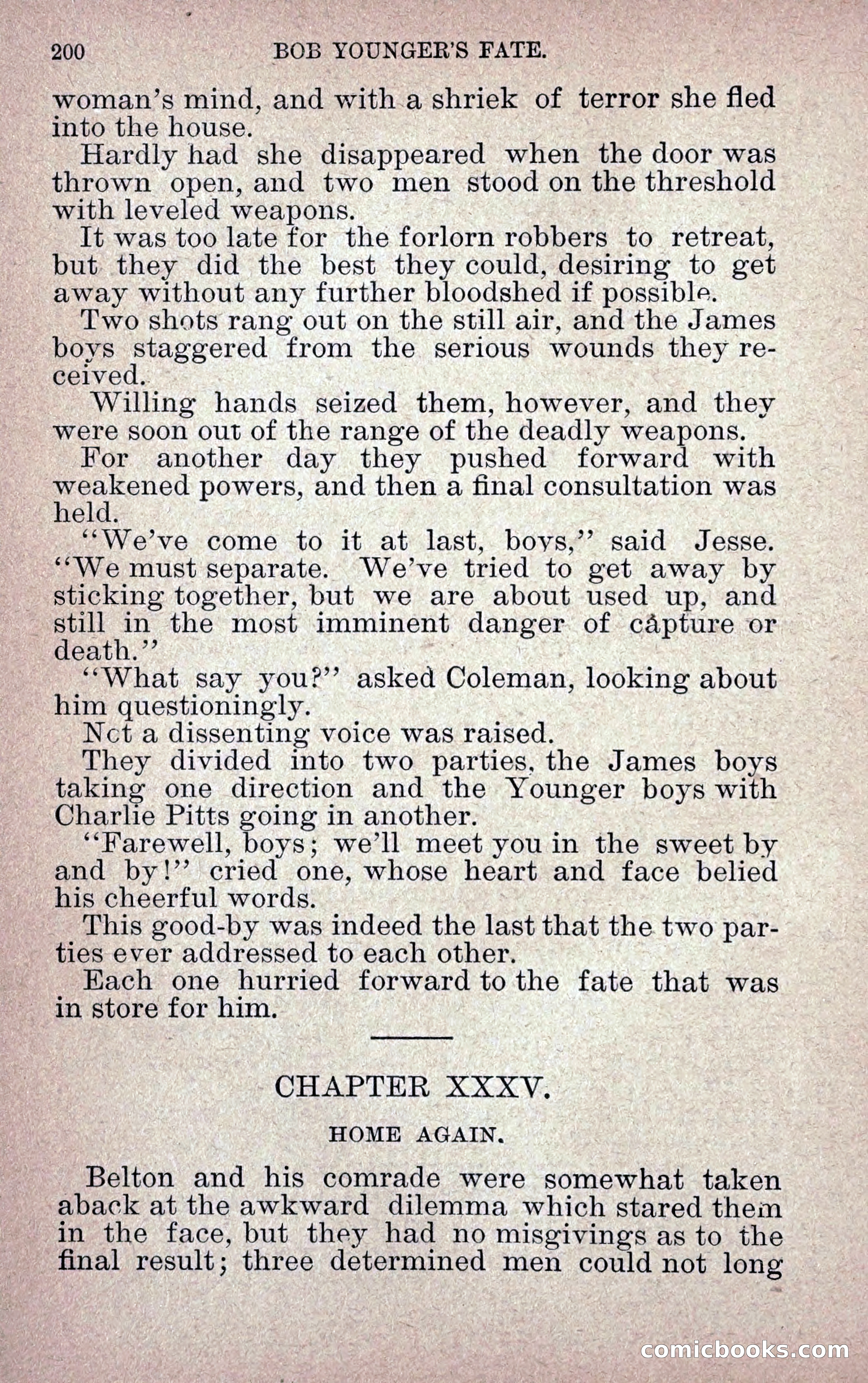 Bob Younger's Fate — page 209 of 232
