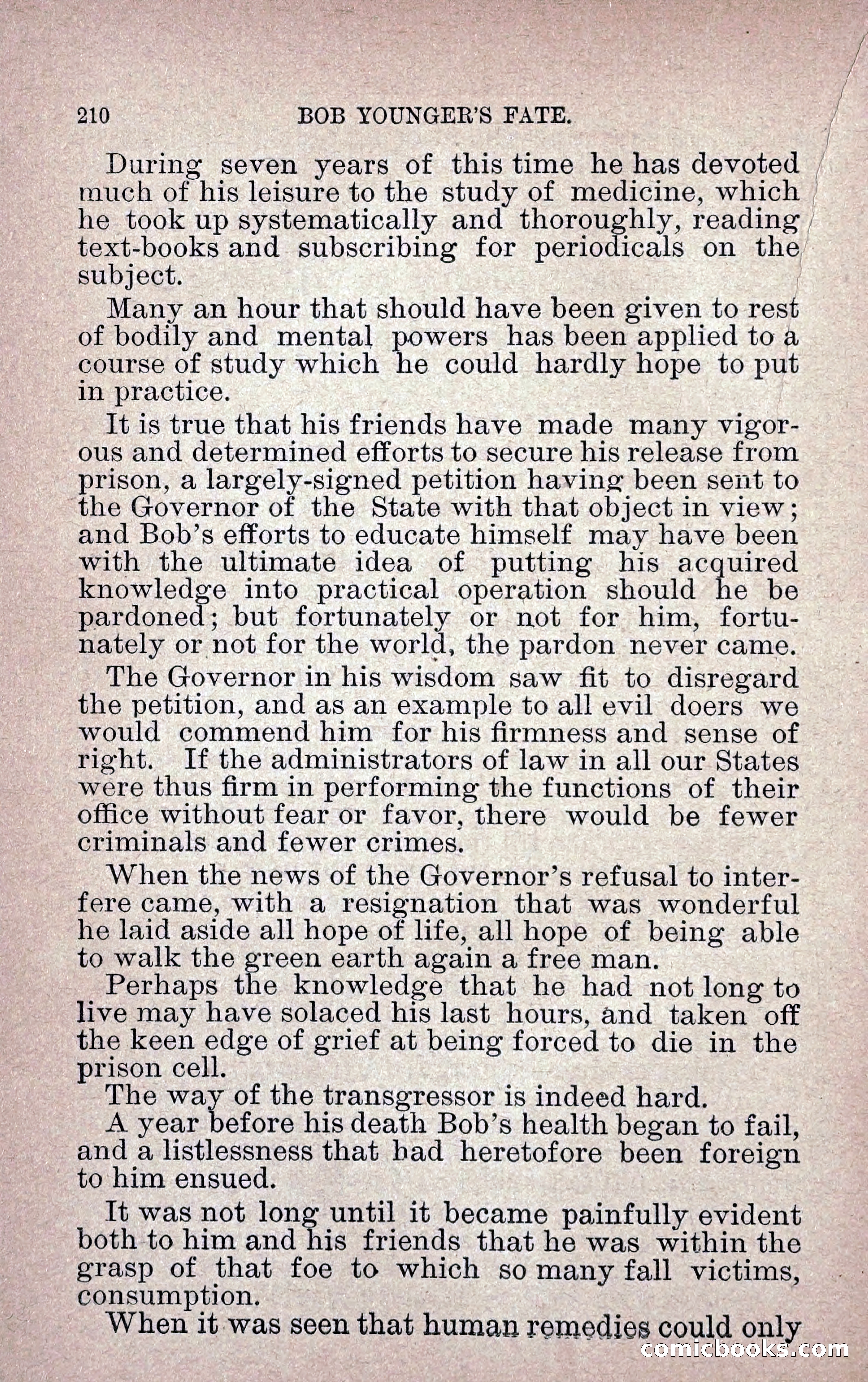 Bob Younger's Fate — page 219 of 232