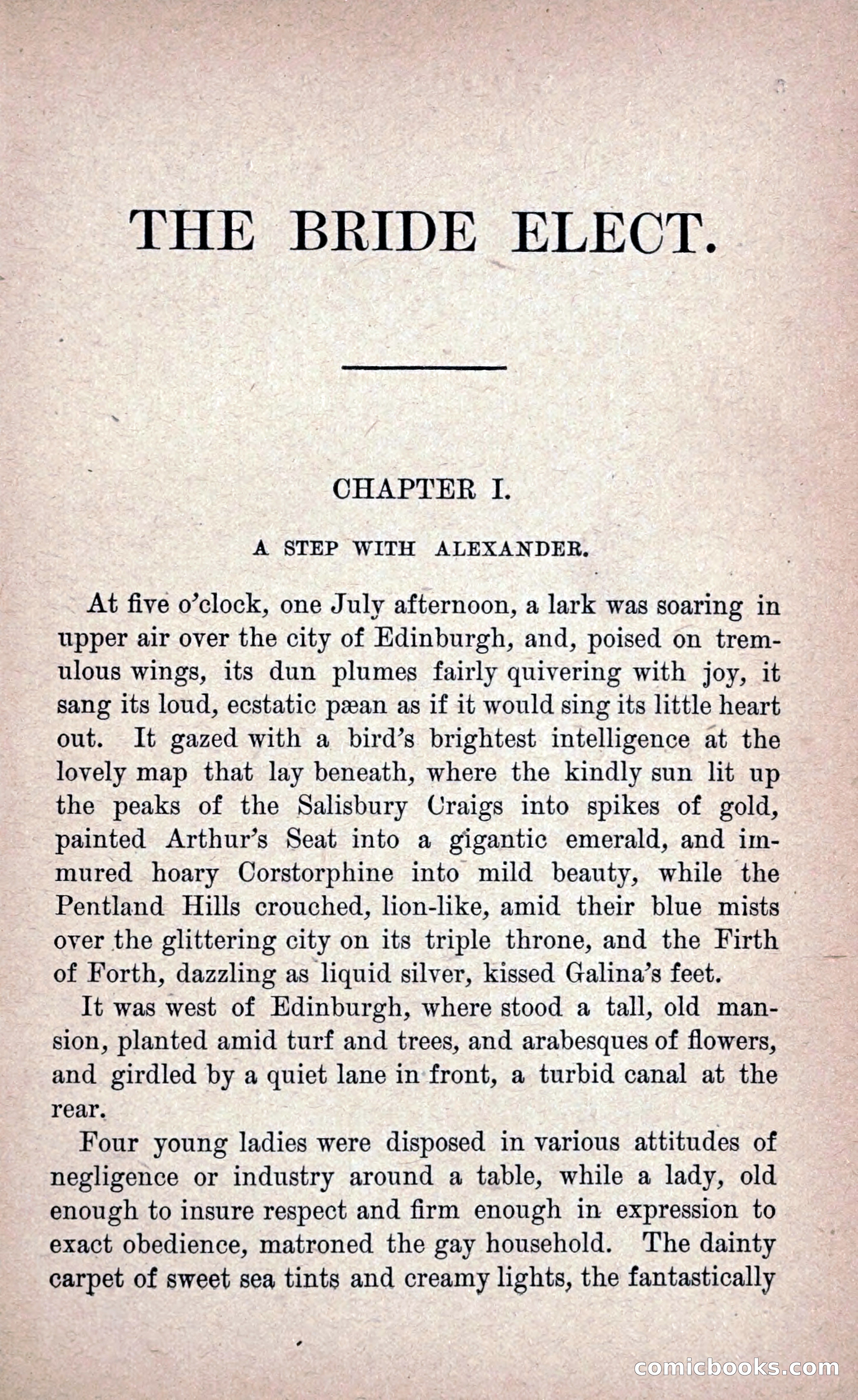 The Bride Elect: or, The Doom of the Double Roses — page 14 of 272
