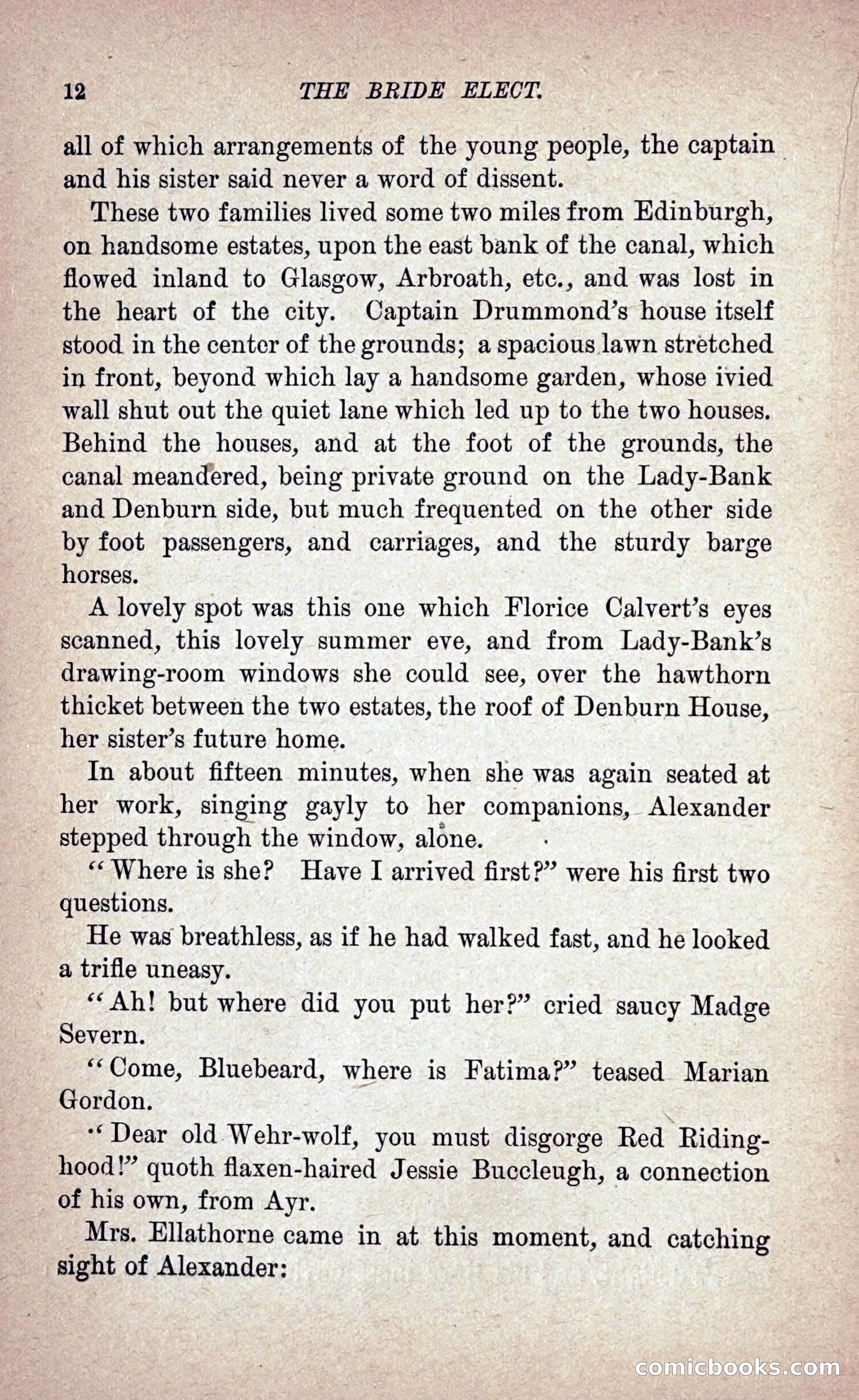 The Bride Elect: or, The Doom of the Double Roses — page 21 of 272