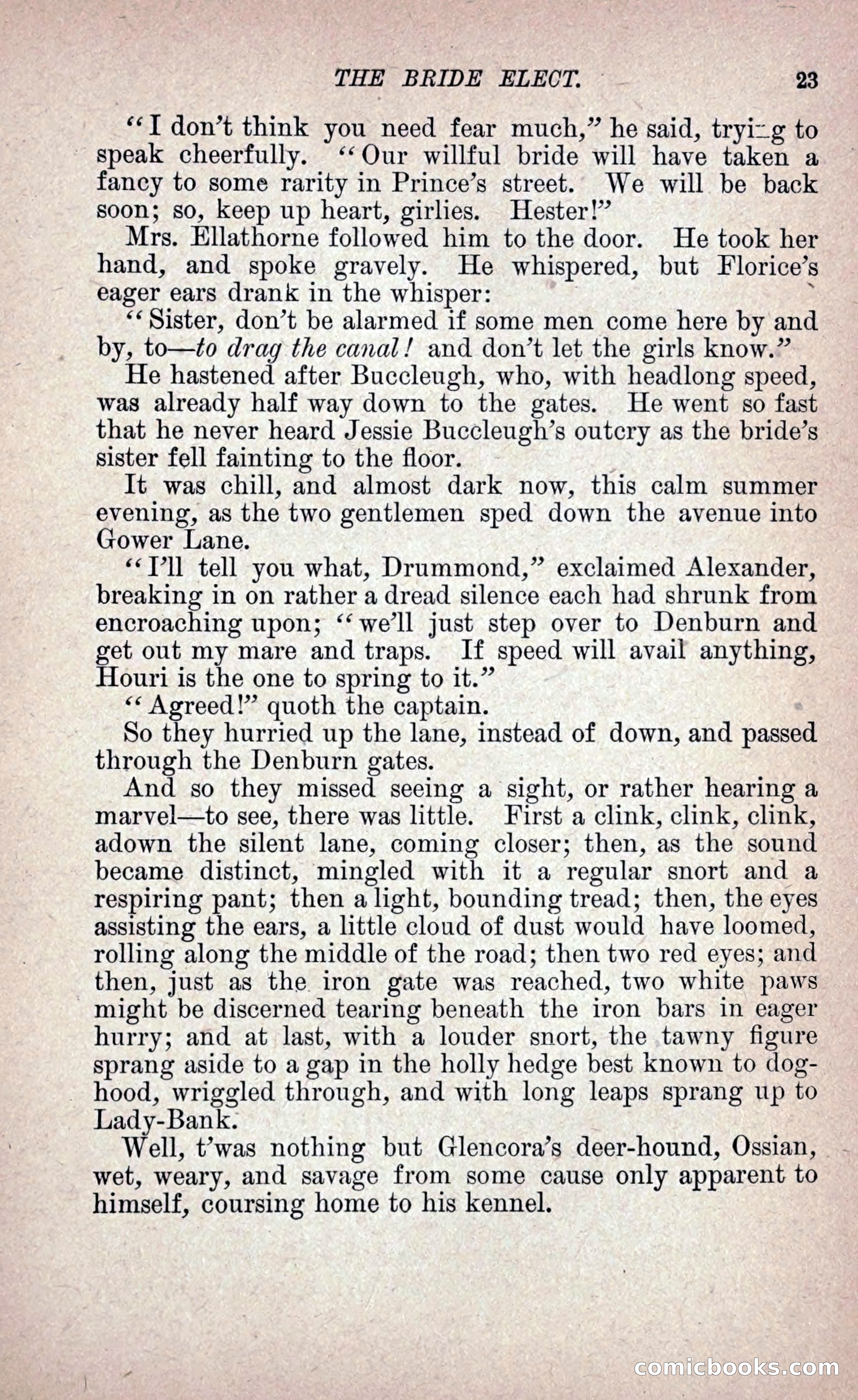 The Bride Elect: or, The Doom of the Double Roses — page 32 of 272
