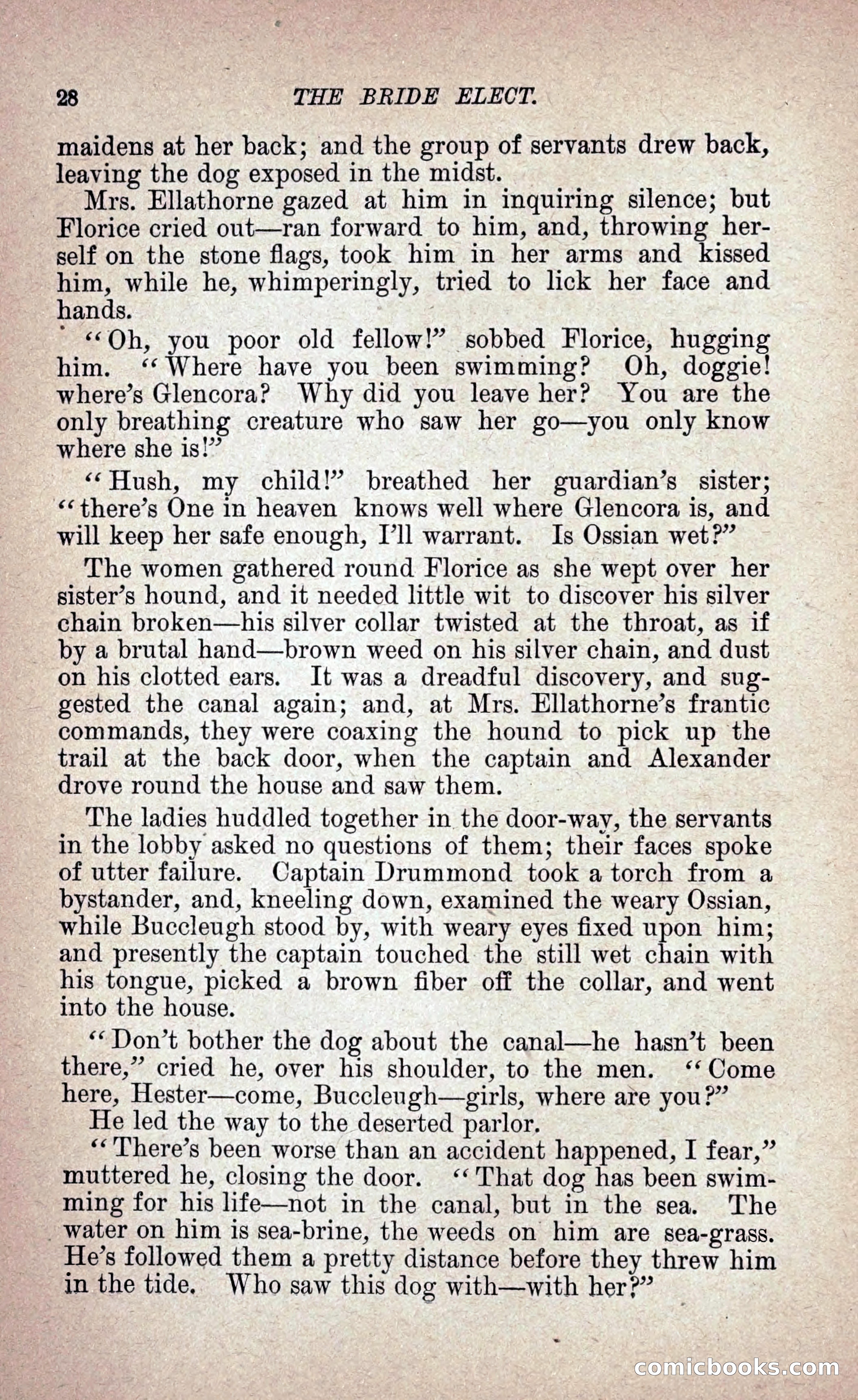 The Bride Elect: or, The Doom of the Double Roses — page 37 of 272
