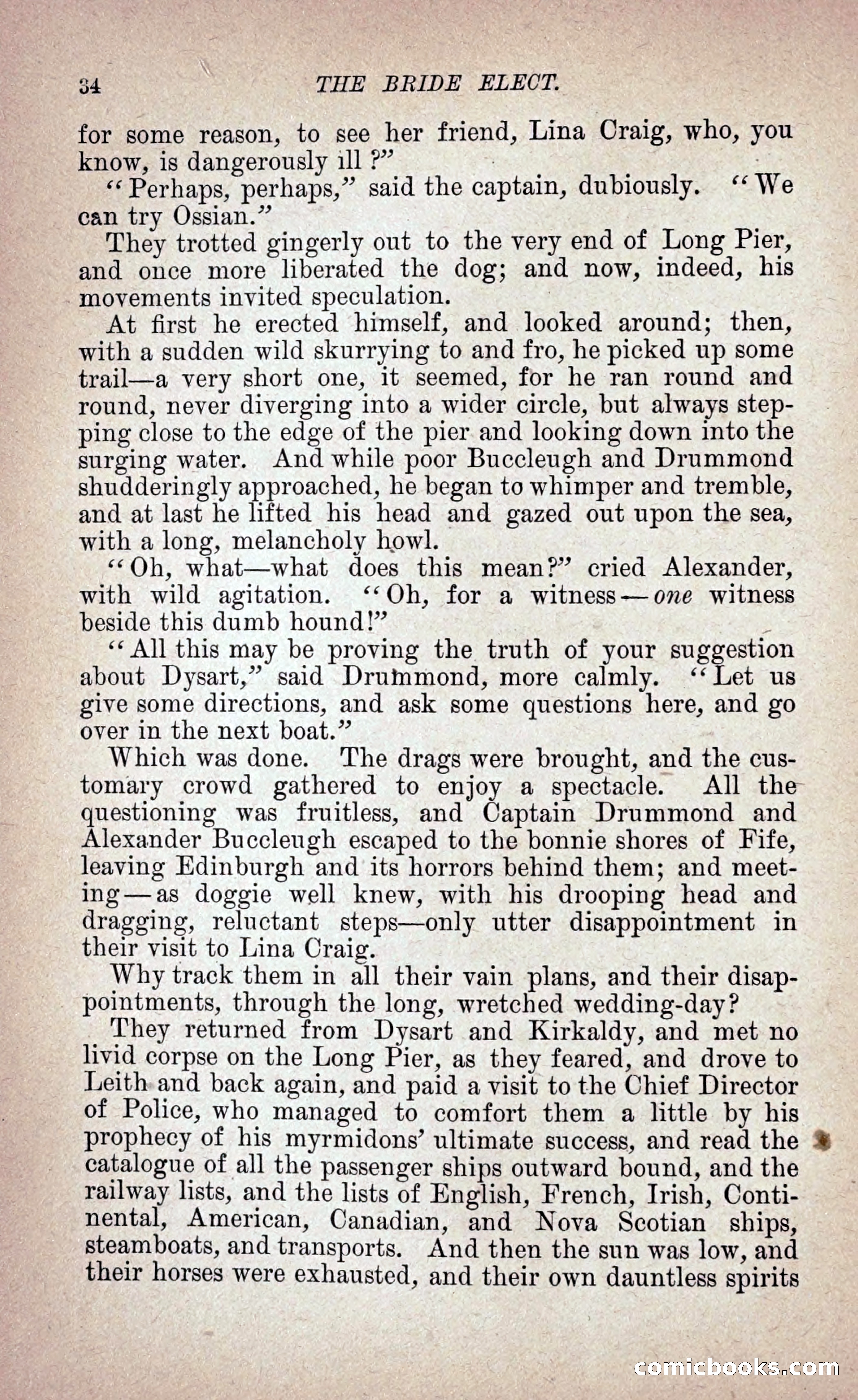 The Bride Elect: or, The Doom of the Double Roses — page 43 of 272