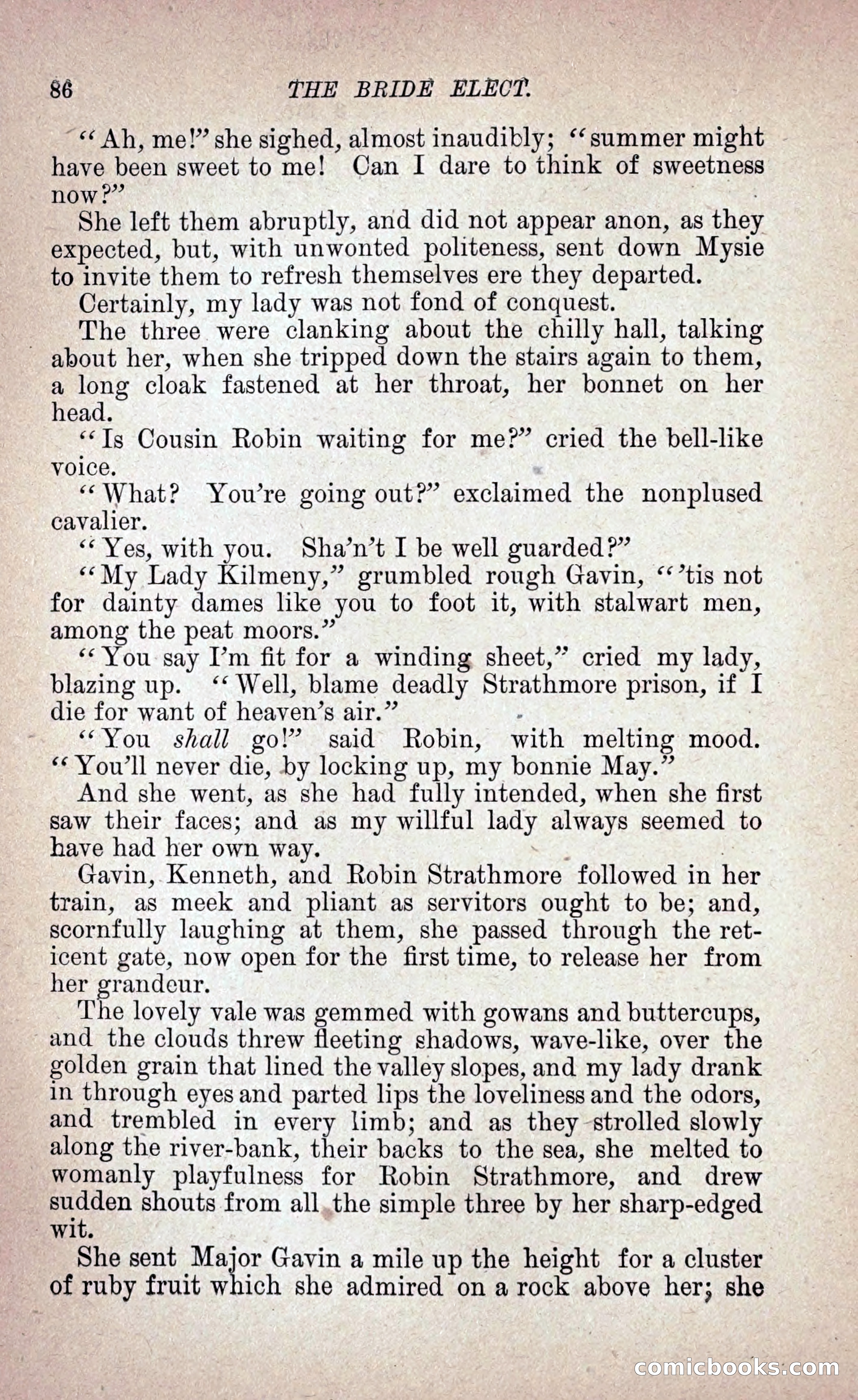 The Bride Elect: or, The Doom of the Double Roses — page 95 of 272