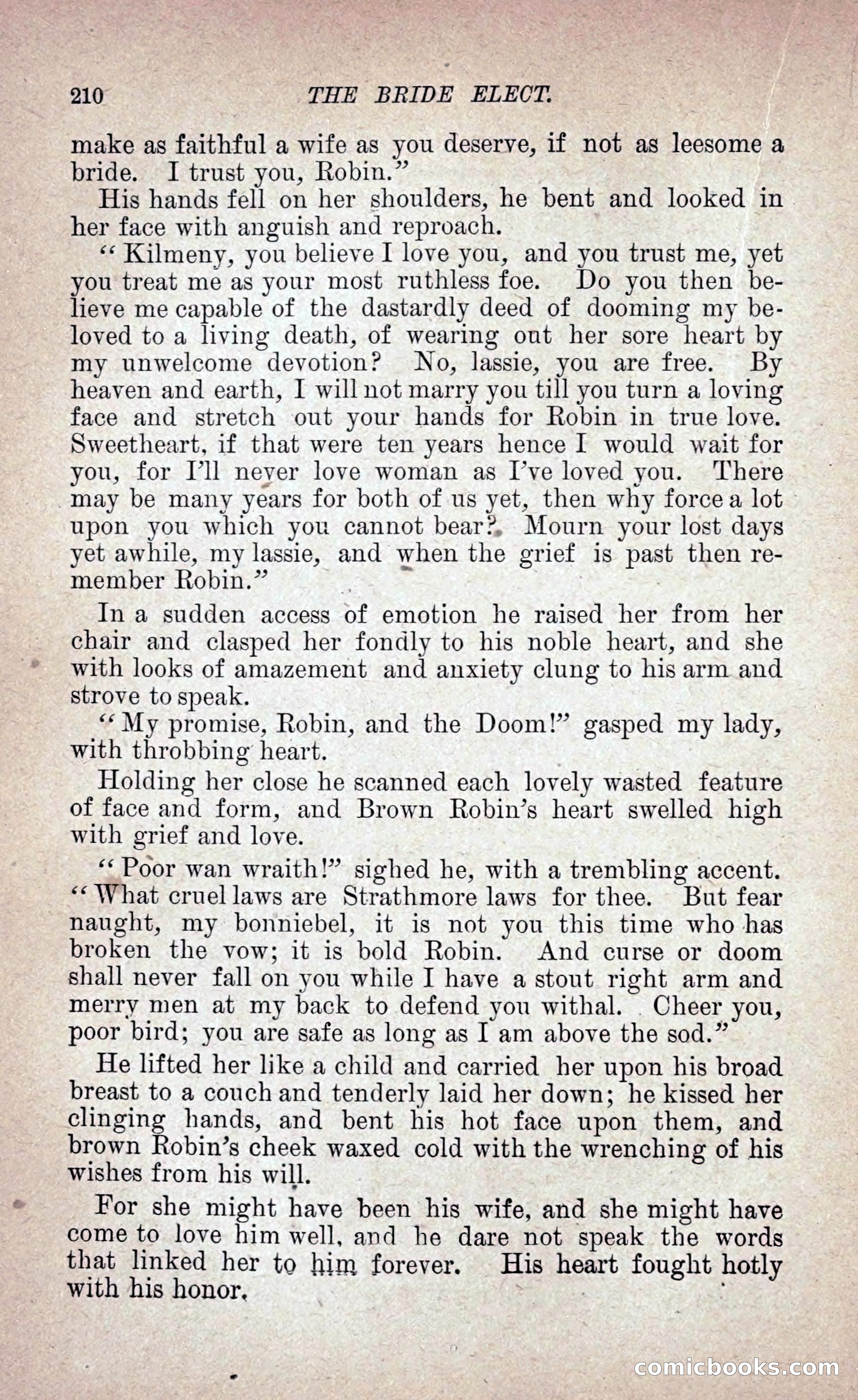 The Bride Elect: or, The Doom of the Double Roses — page 219 of 272