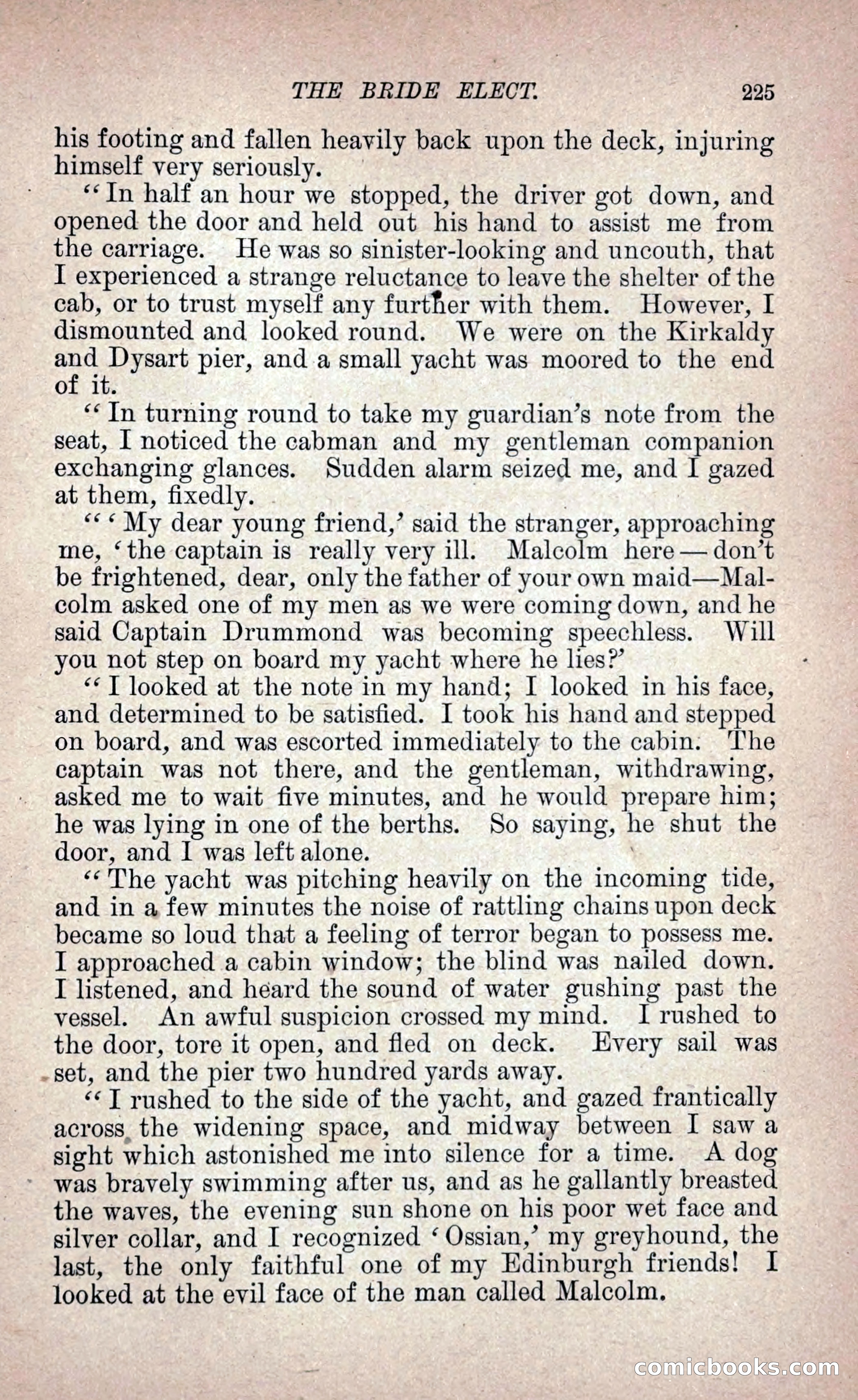 The Bride Elect: or, The Doom of the Double Roses — page 234 of 272