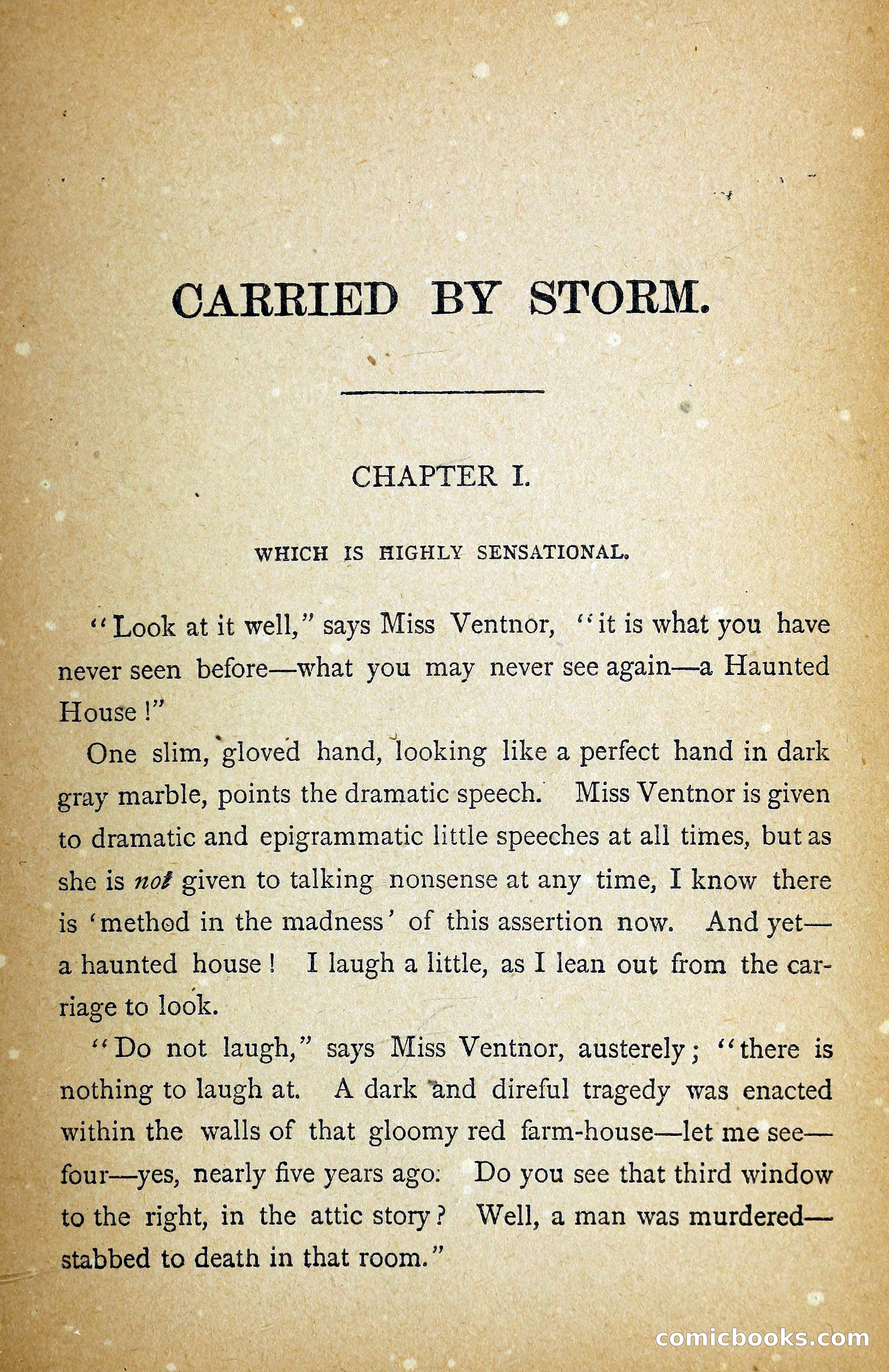Carried by Storm: A Novel — page 14 of 108