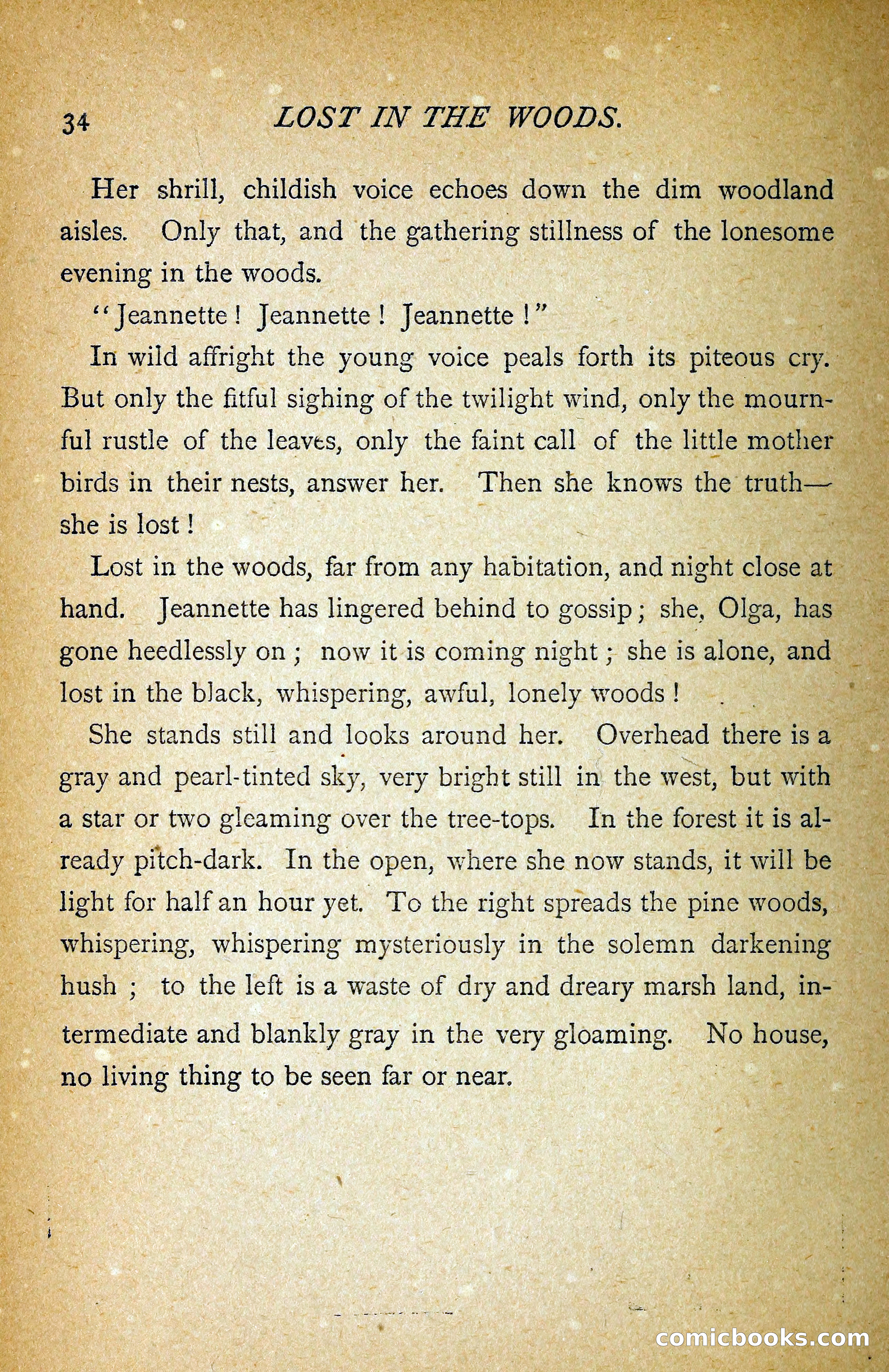 Carried by Storm: A Novel — page 39 of 108