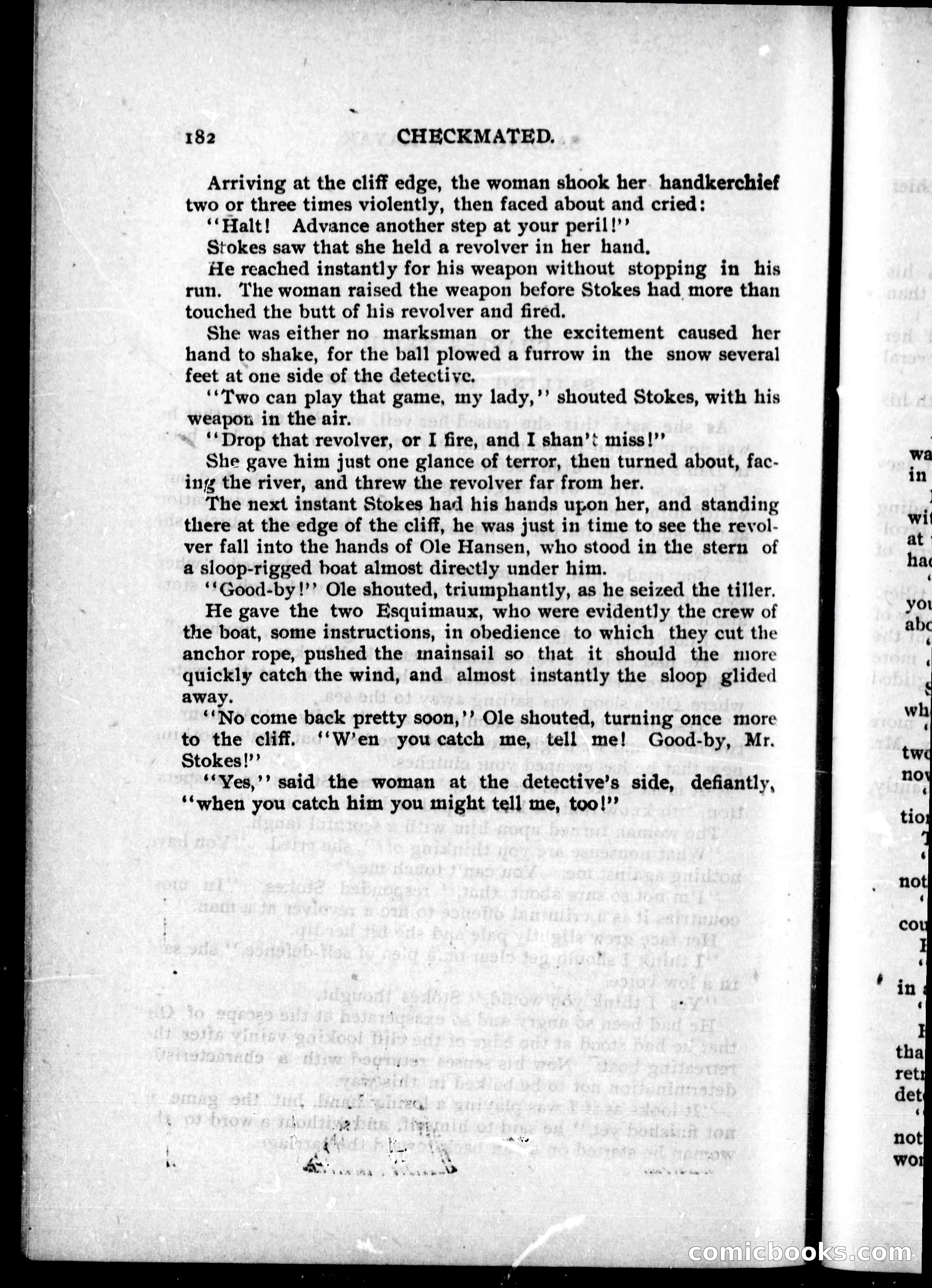 The Internet Detective Library — page 191 of 239