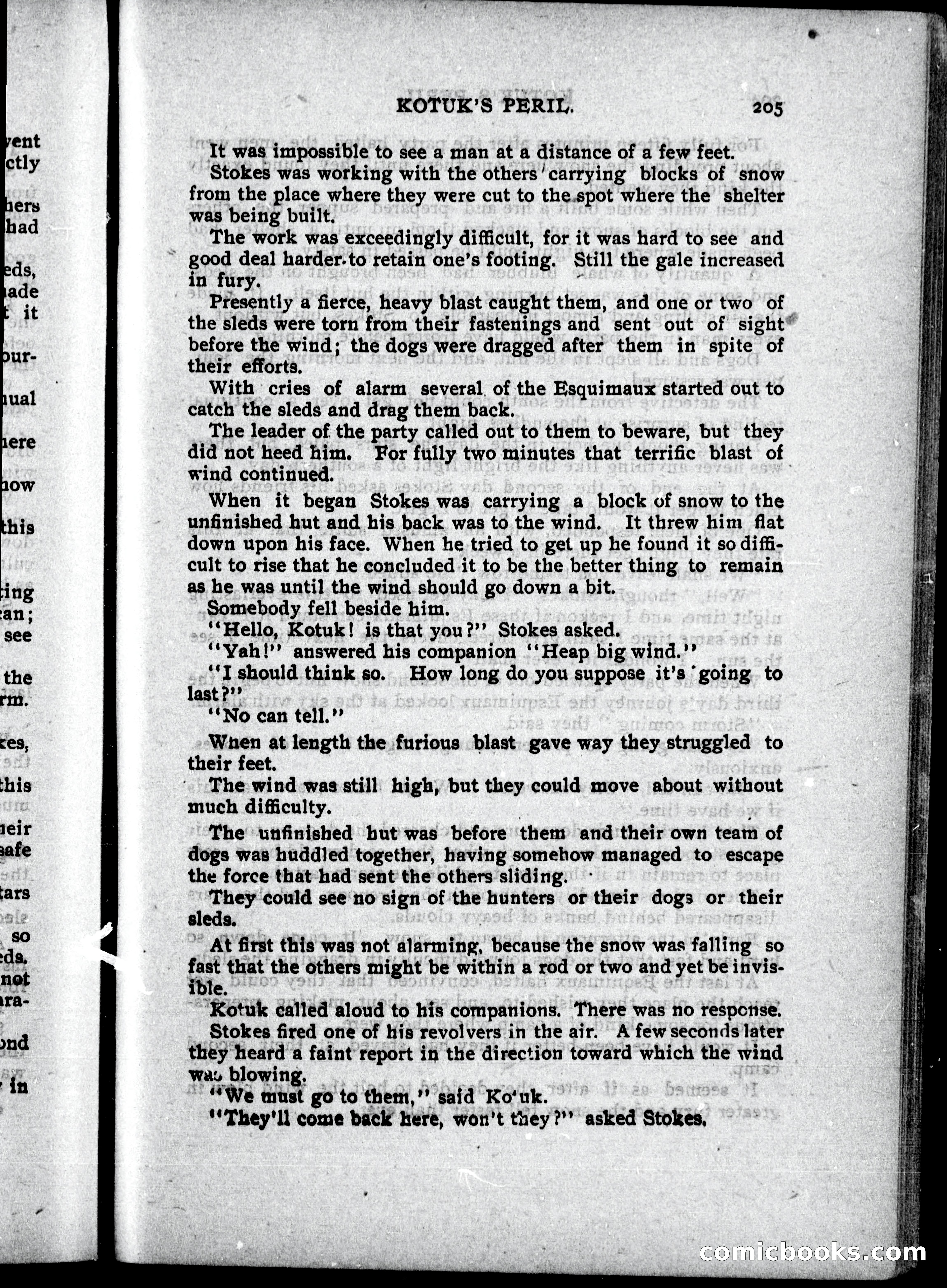 The Internet Detective Library — page 217 of 239