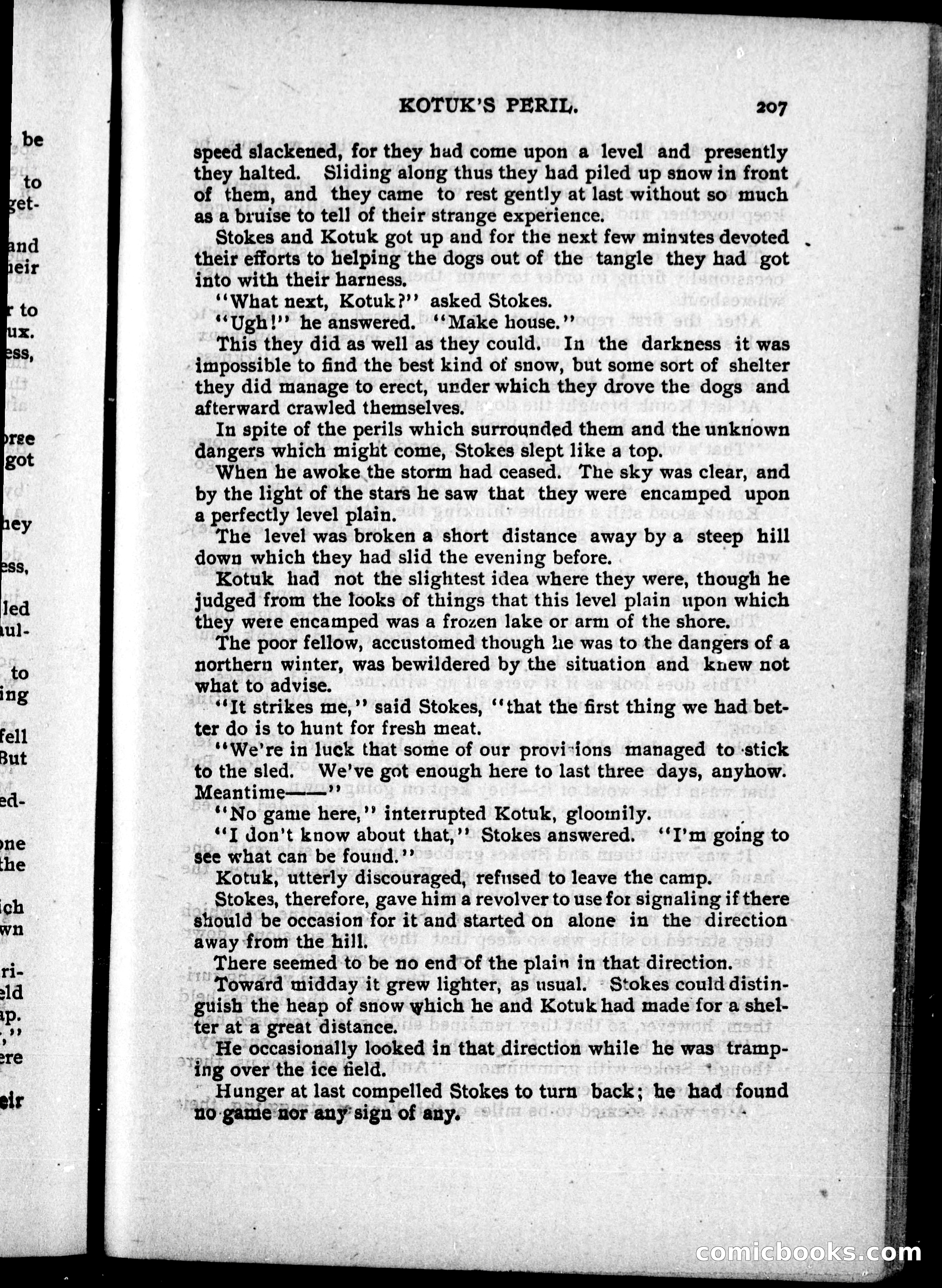 The Internet Detective Library — page 219 of 239