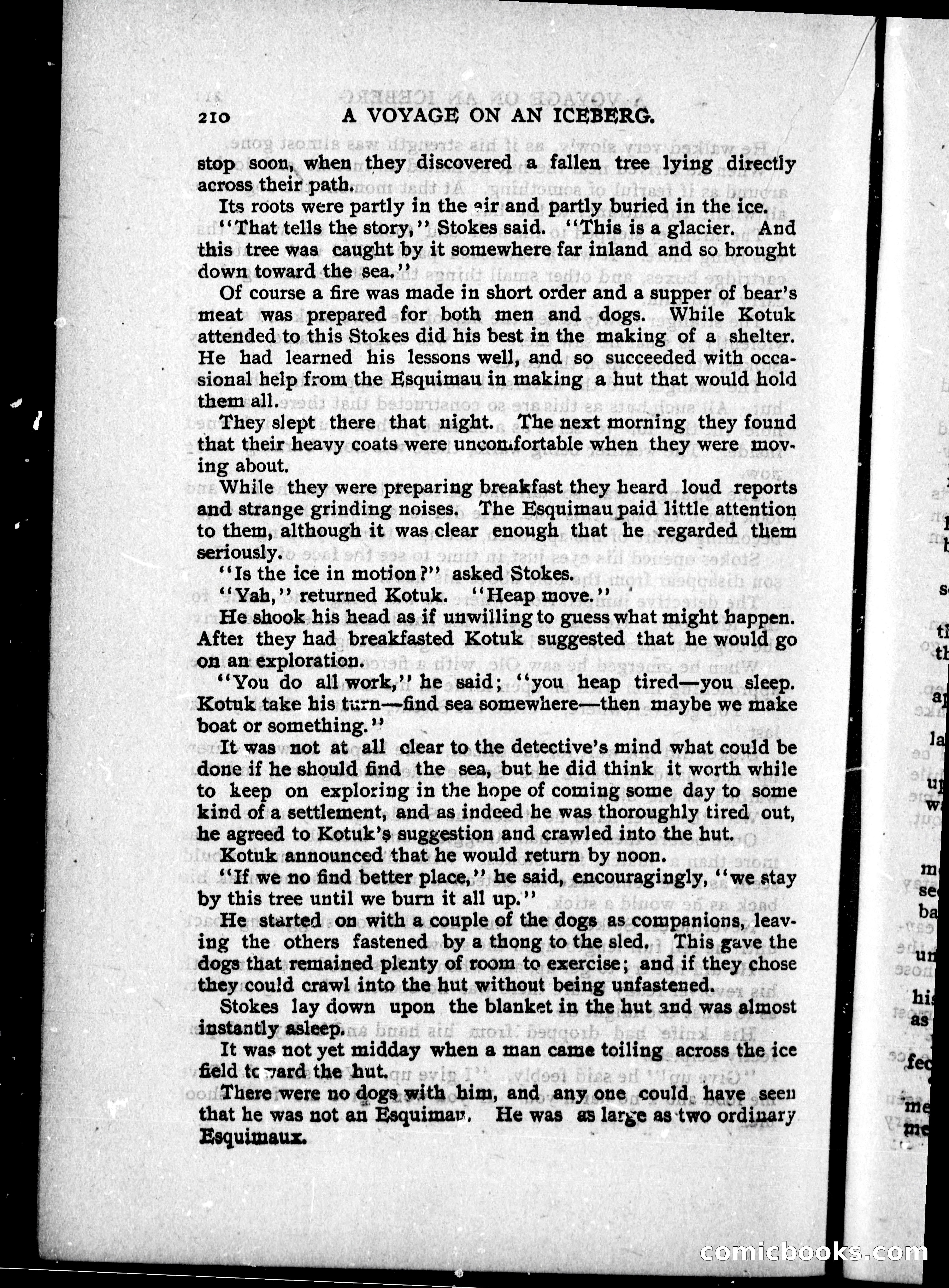 The Internet Detective Library — page 222 of 239