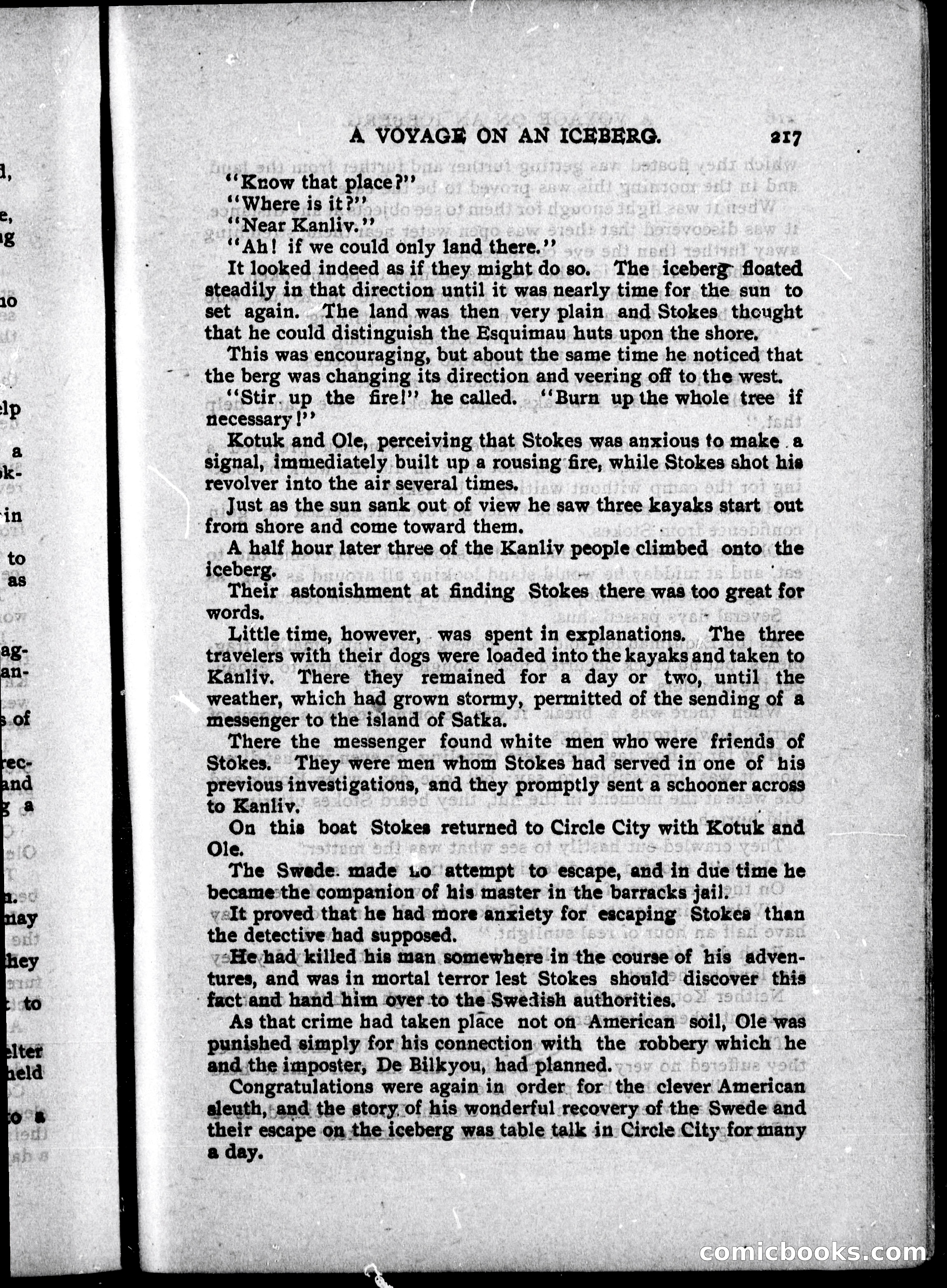 The Internet Detective Library — page 229 of 239