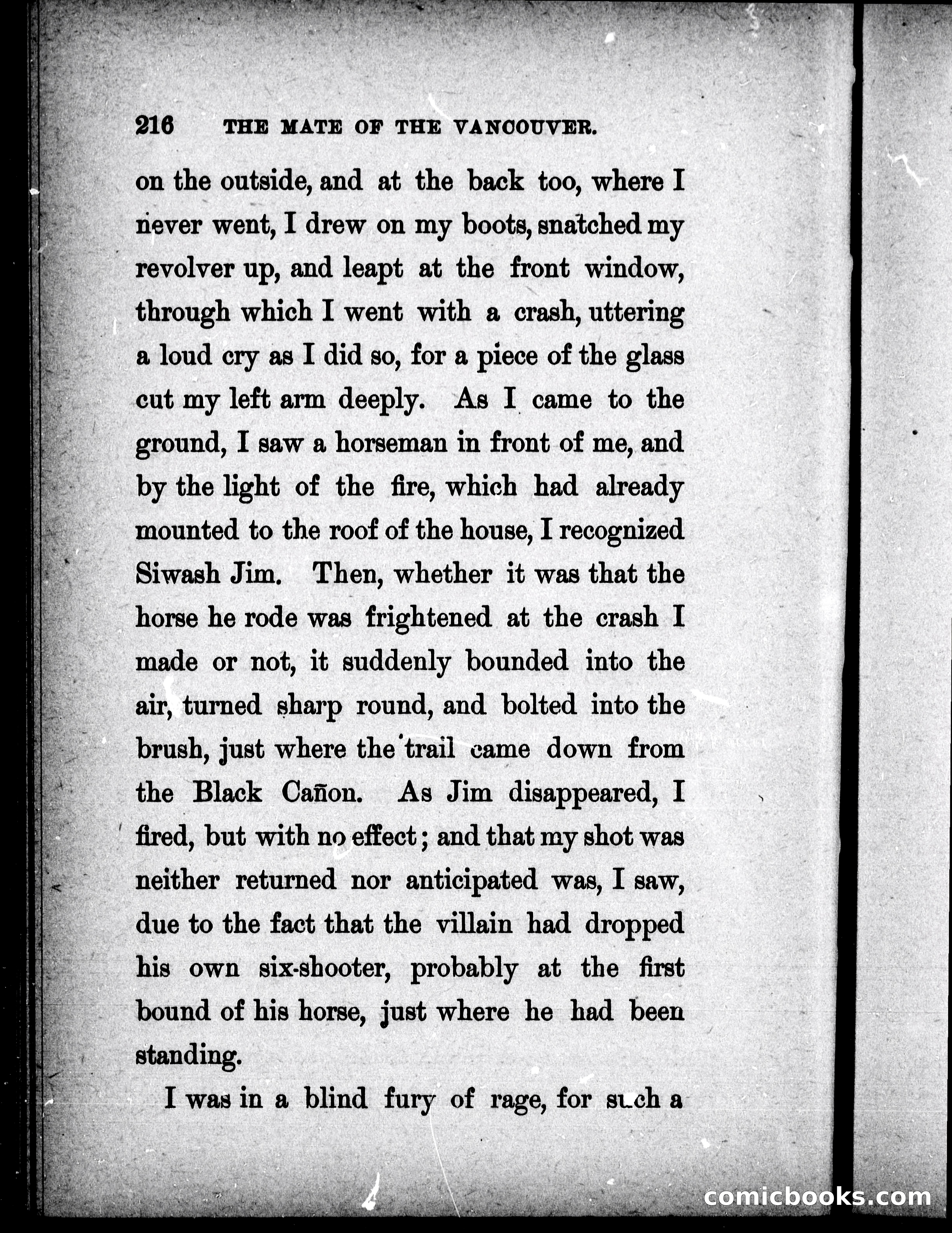 The Mate of the Vancouver — page 231 of 302