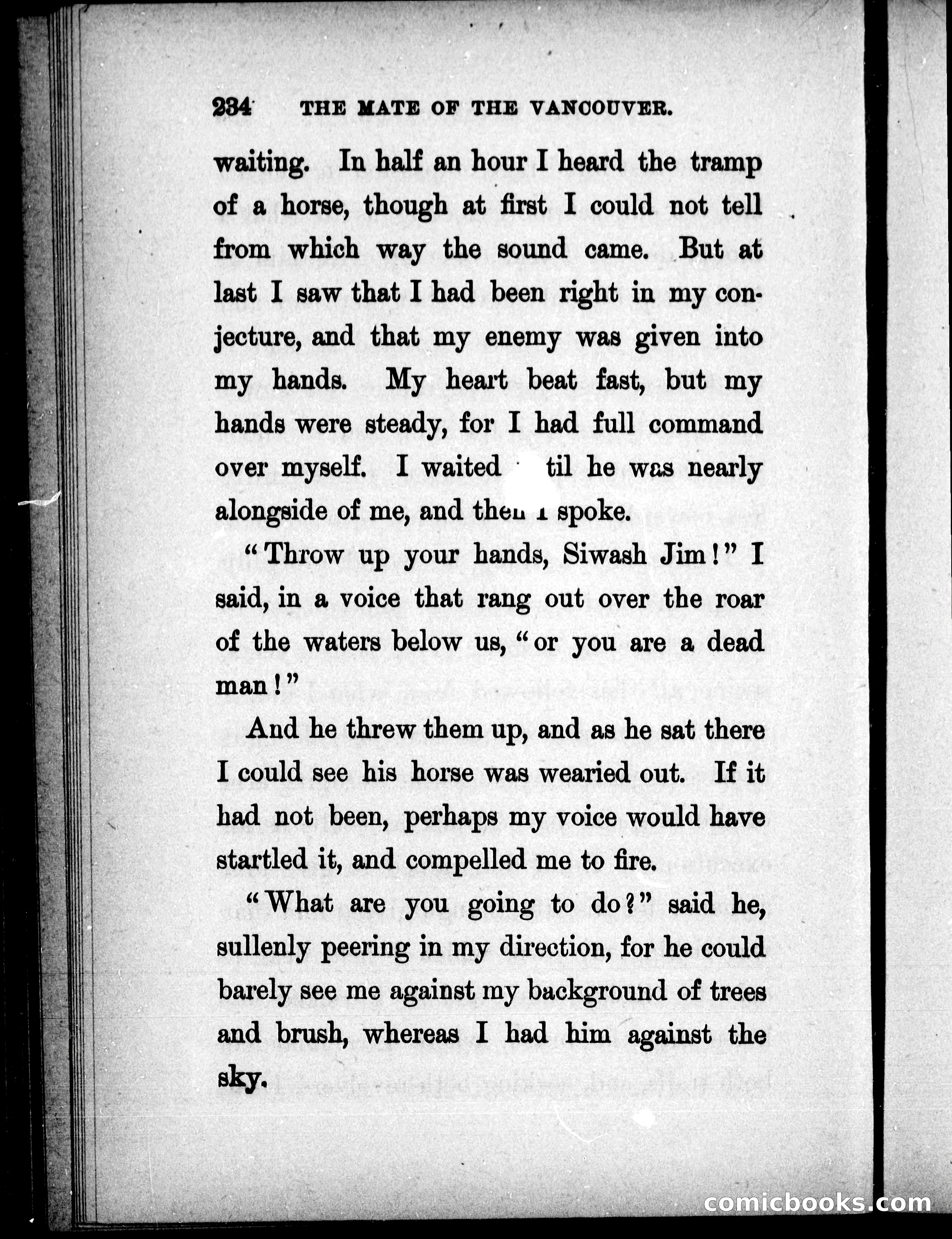The Mate of the Vancouver — page 249 of 302