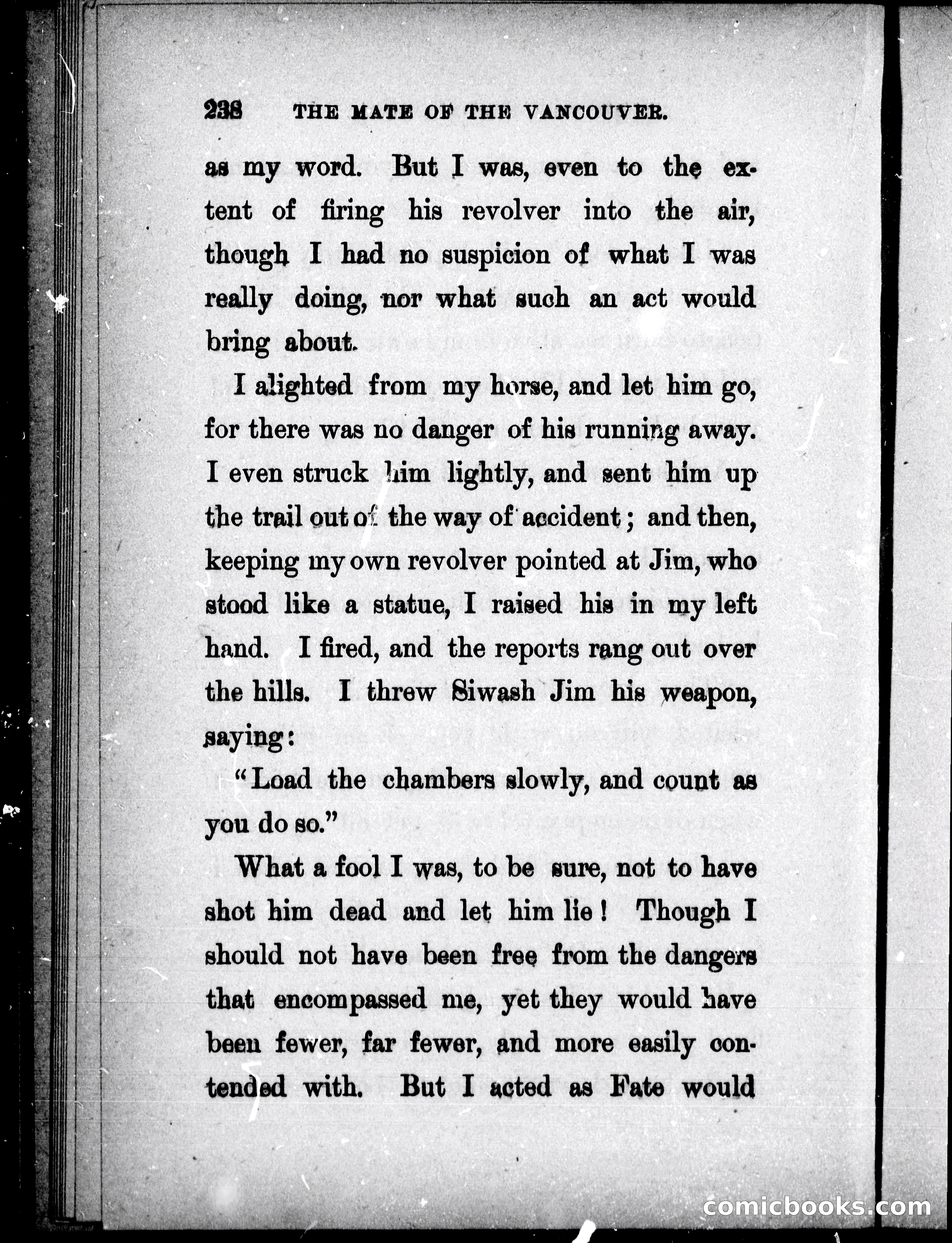 The Mate of the Vancouver — page 253 of 302