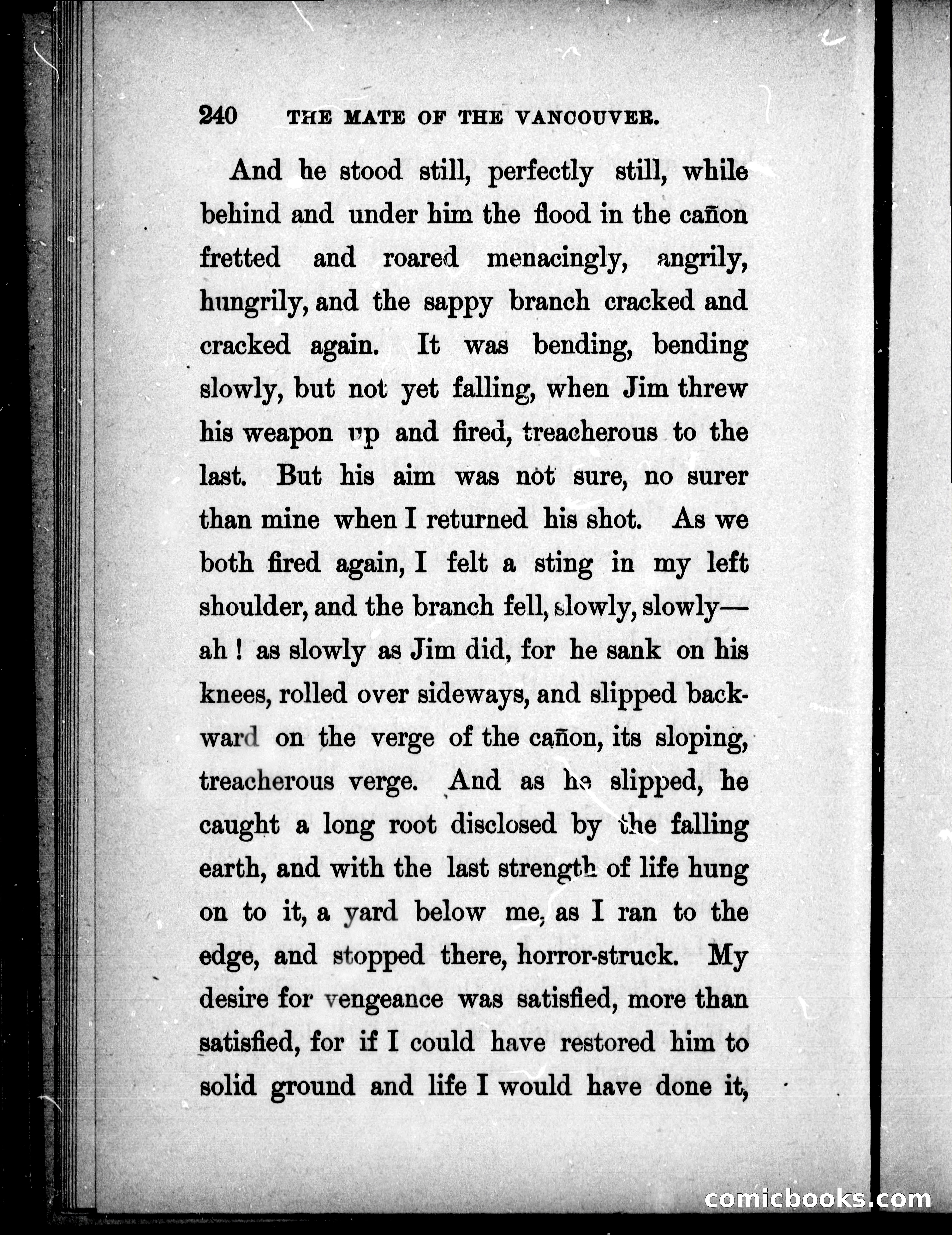 The Mate of the Vancouver — page 255 of 302