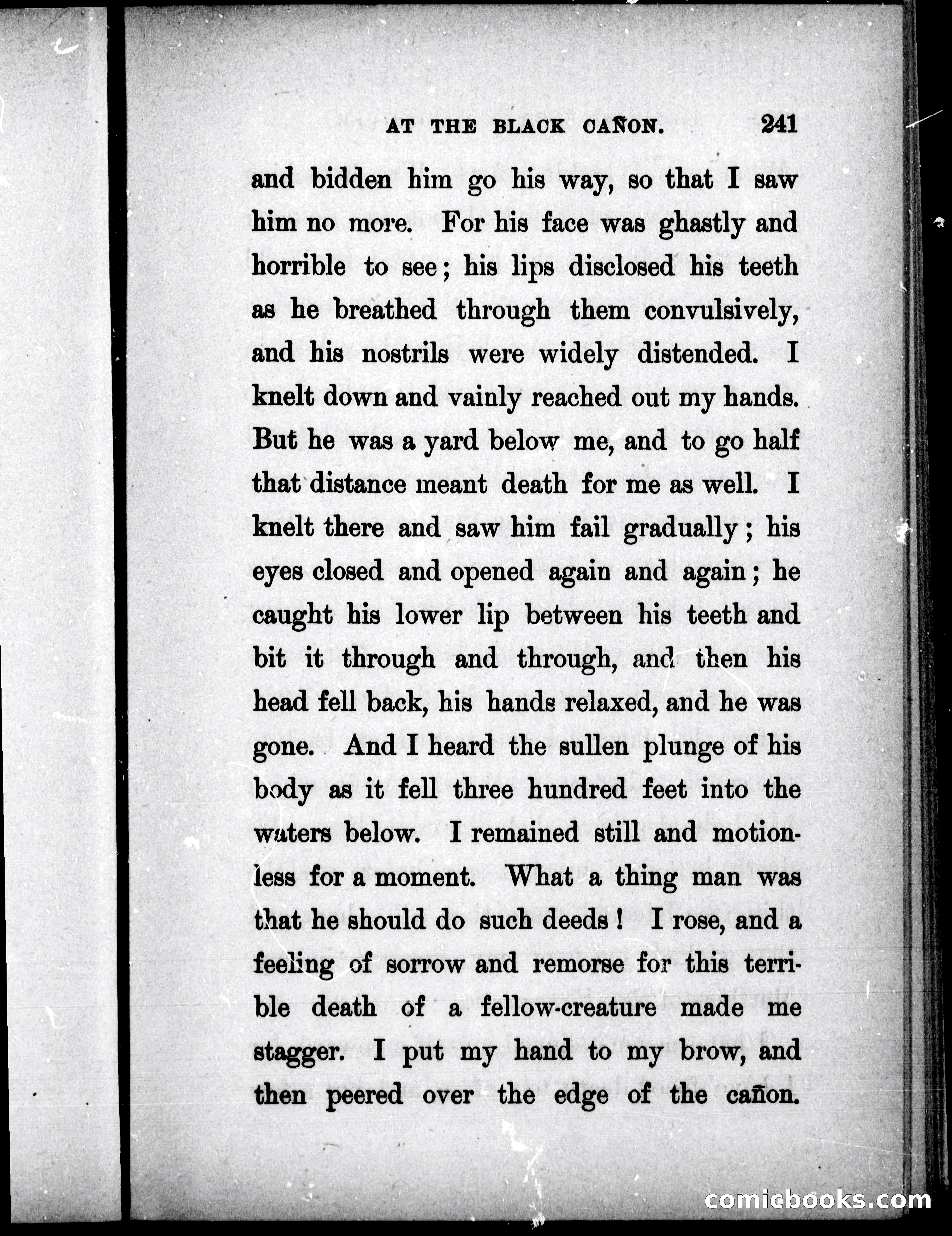 The Mate of the Vancouver — page 256 of 302