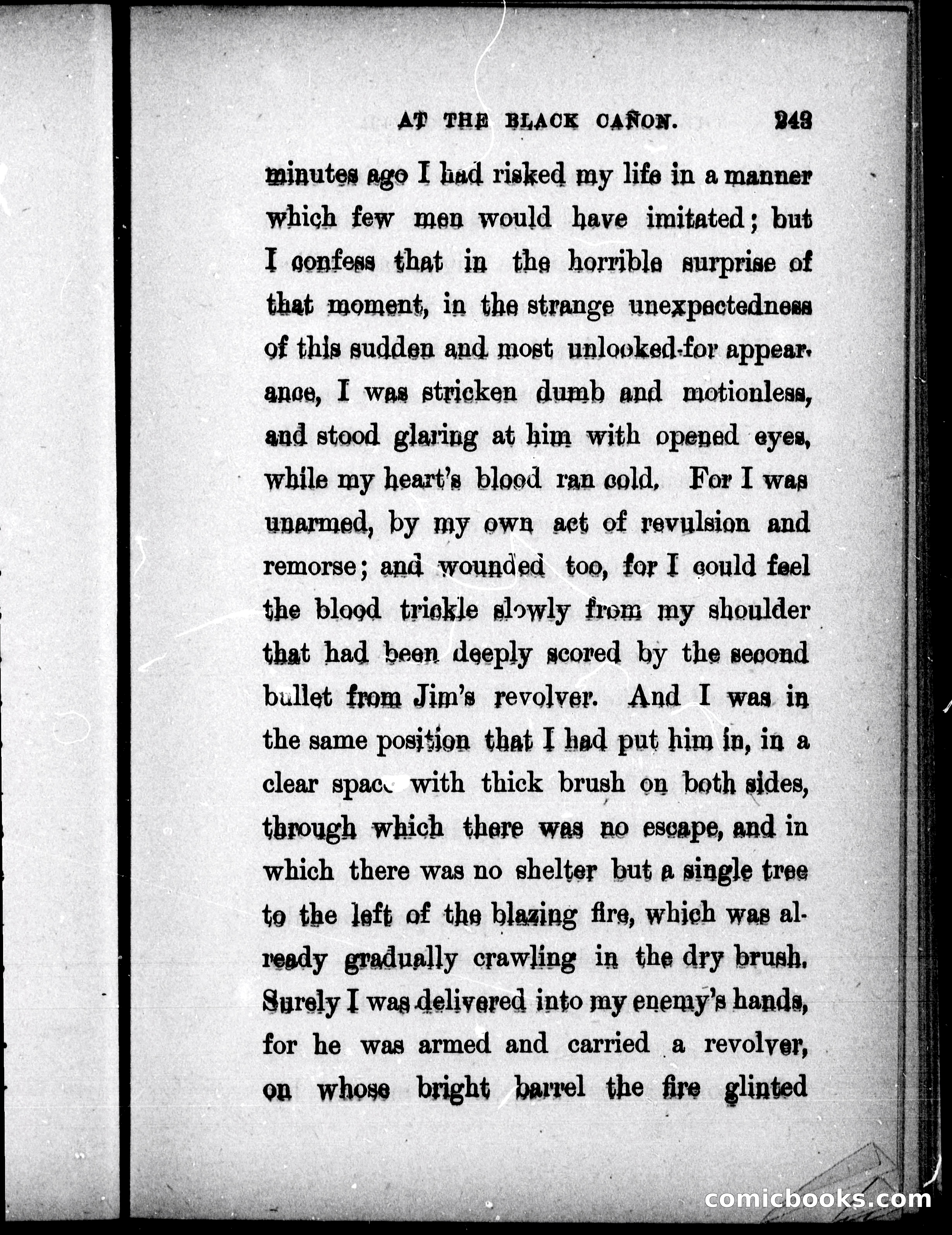 The Mate of the Vancouver — page 258 of 302