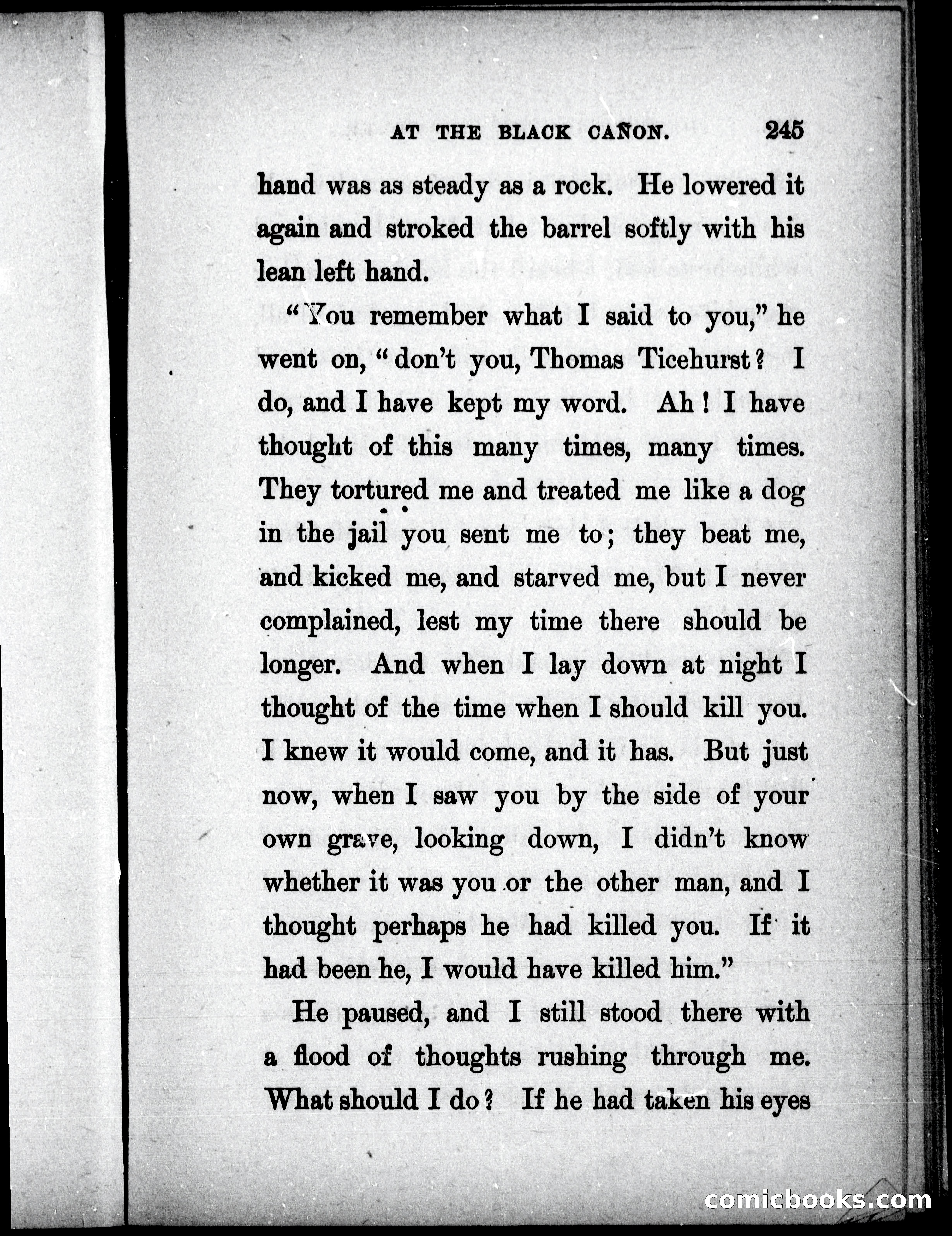 The Mate of the Vancouver — page 260 of 302