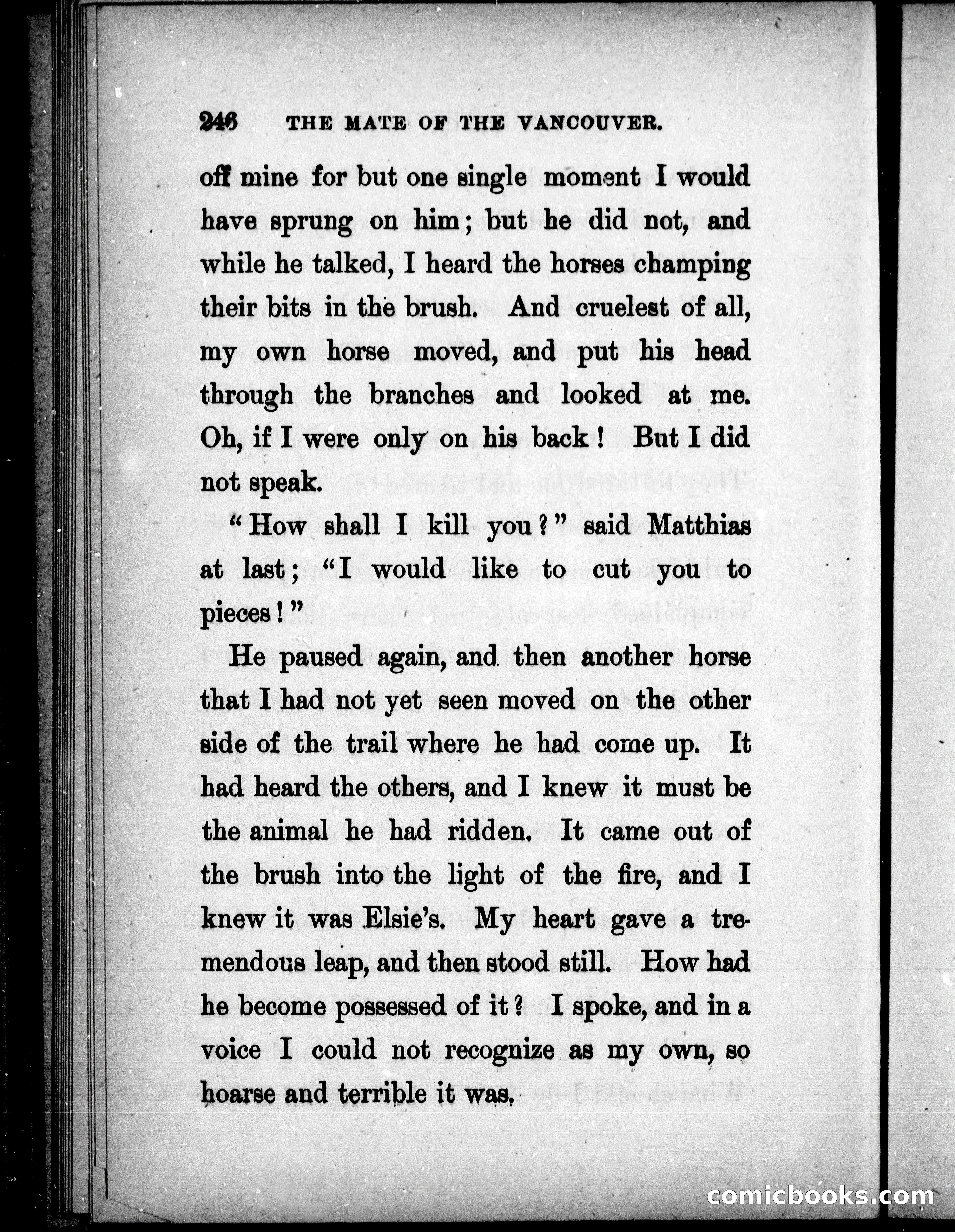 The Mate of the Vancouver — page 261 of 302