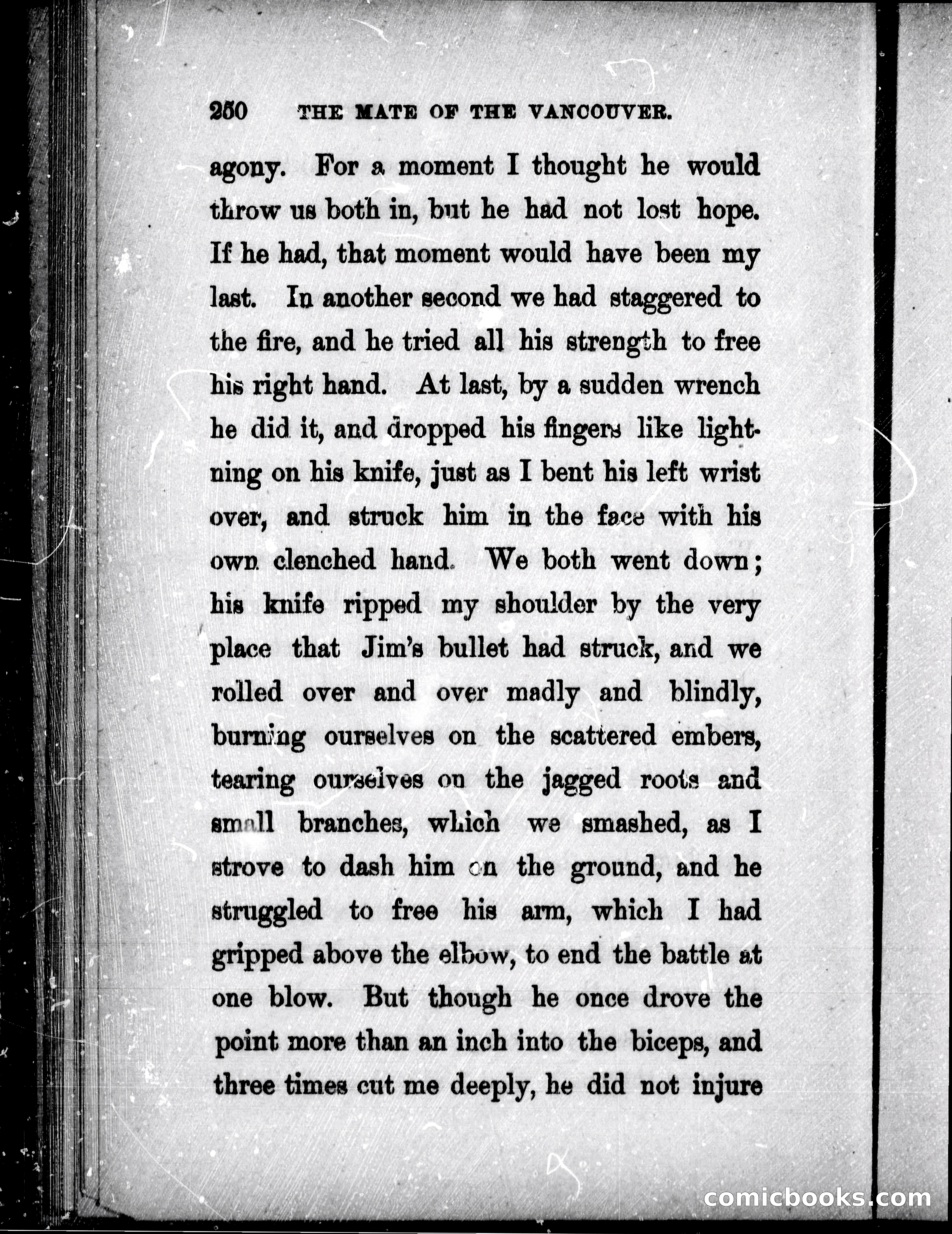The Mate of the Vancouver — page 265 of 302