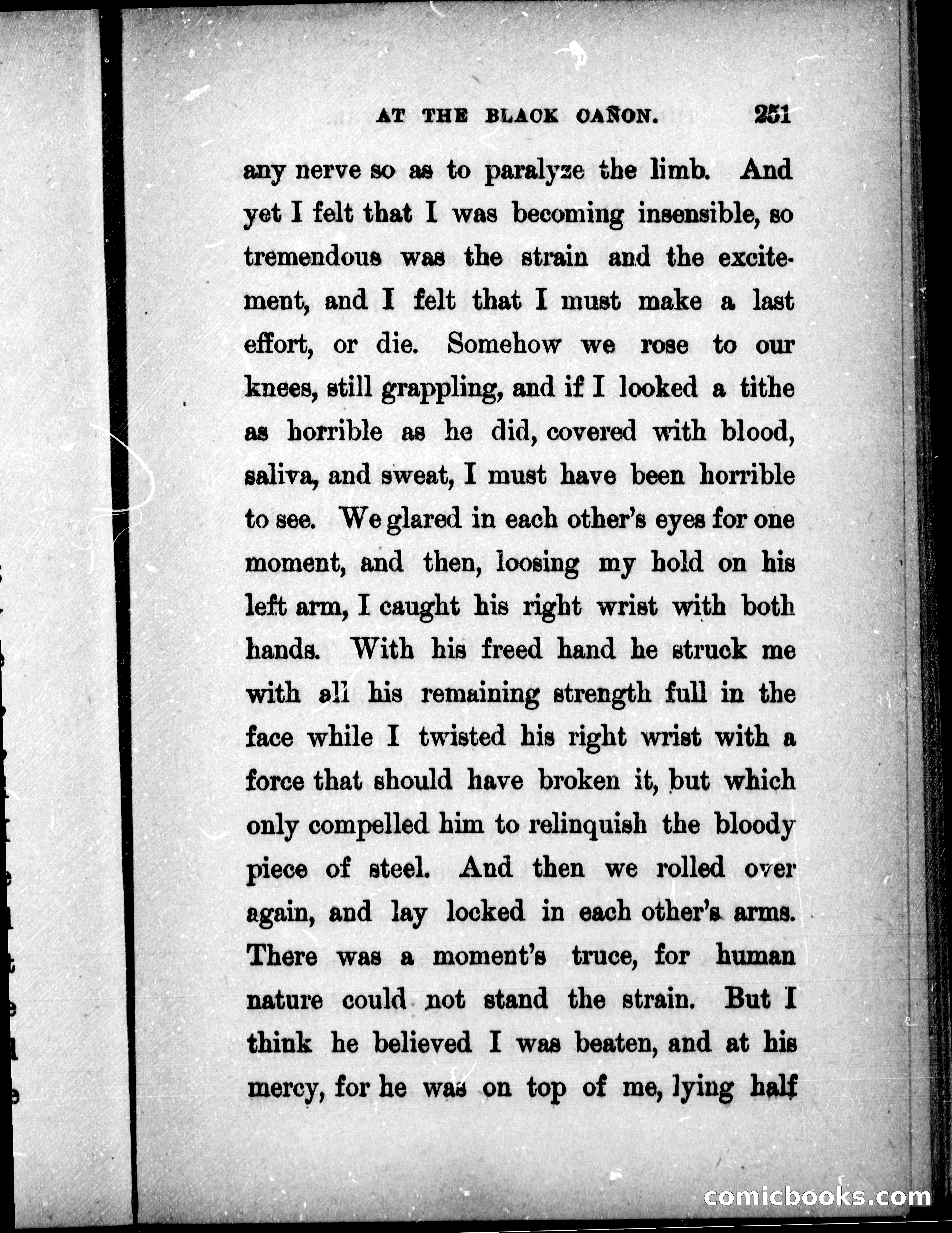 The Mate of the Vancouver — page 266 of 302