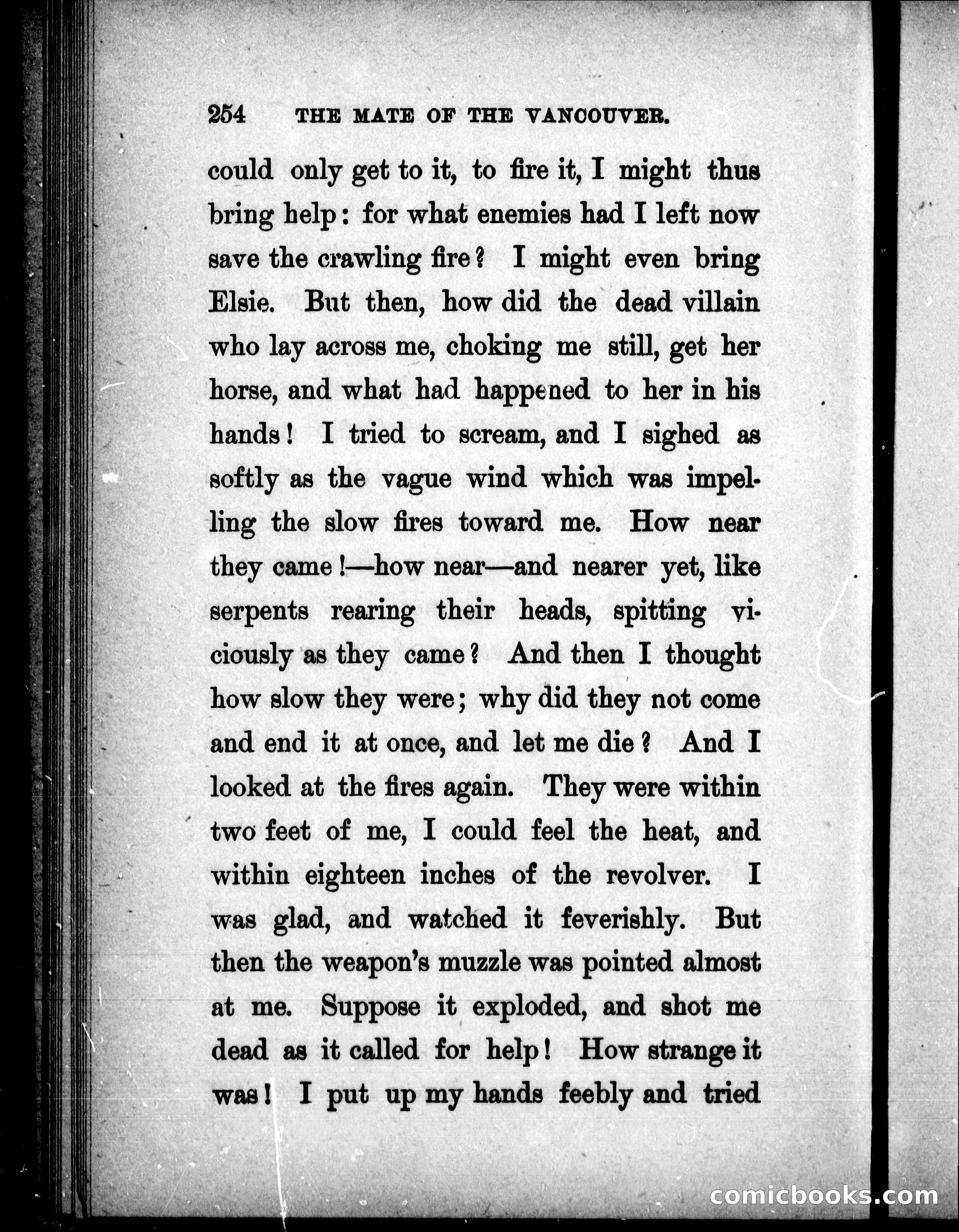 The Mate of the Vancouver — page 269 of 302
